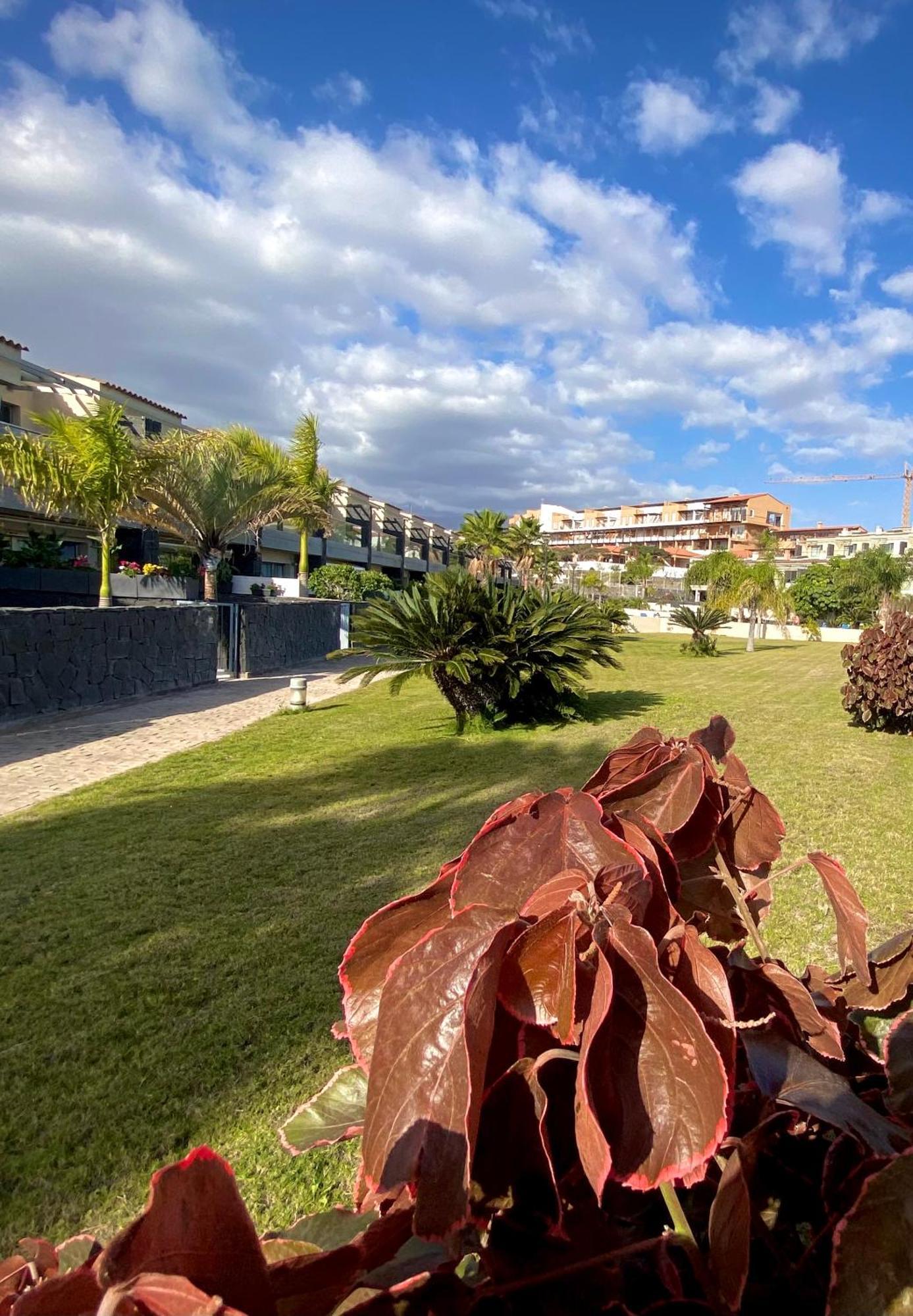 Oceanview Gaviota *