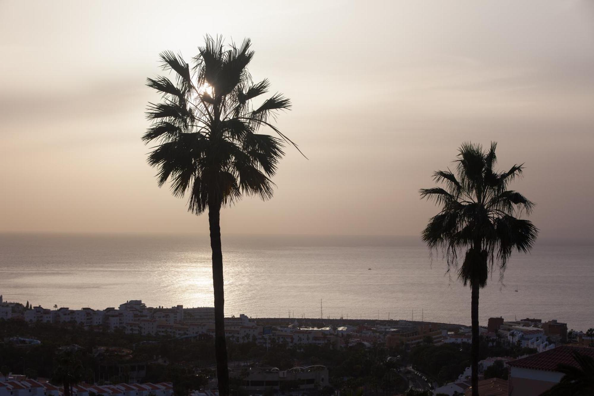 Villa 200m² New D With Private, Heated Pool And Amazing Ocean View. Costa Adeje (Tenerife)