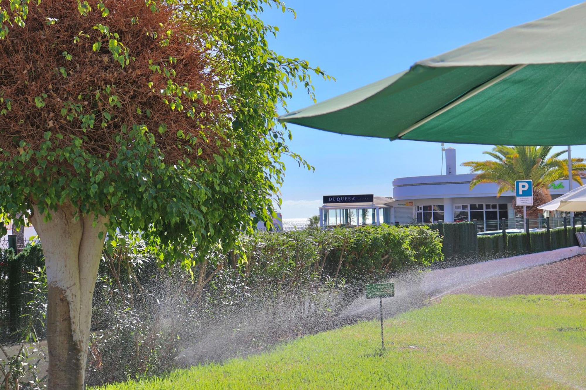Duque Beachfront Elite Apartamento