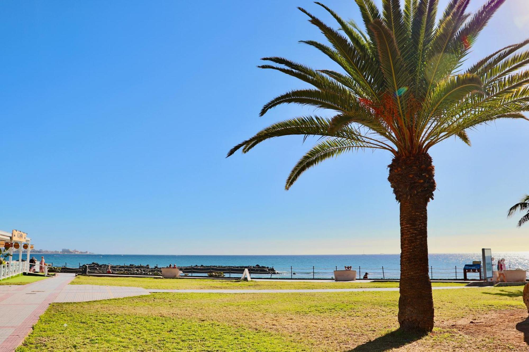 Duque Beachfront Elite Apartamento