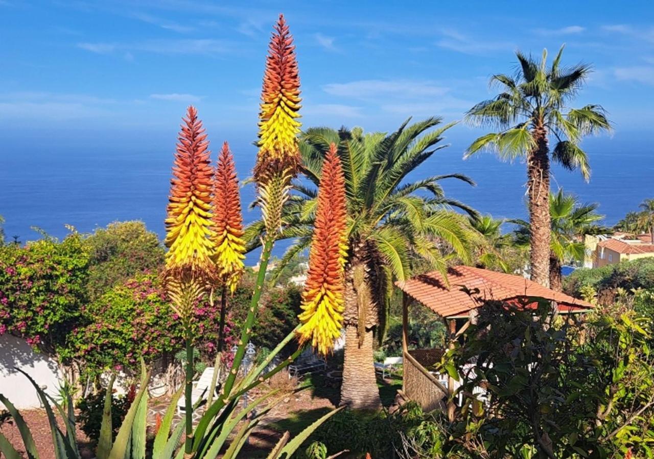 Larnia De Tenerife * Sauzal