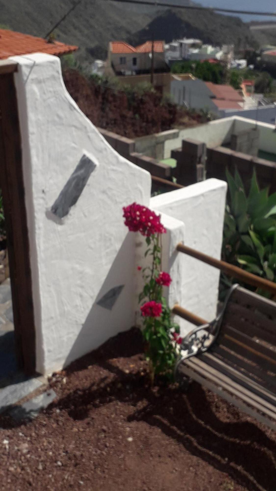 Nueva Piscina Privada Hébergement de vacances Santa-Cruz de Ténérife