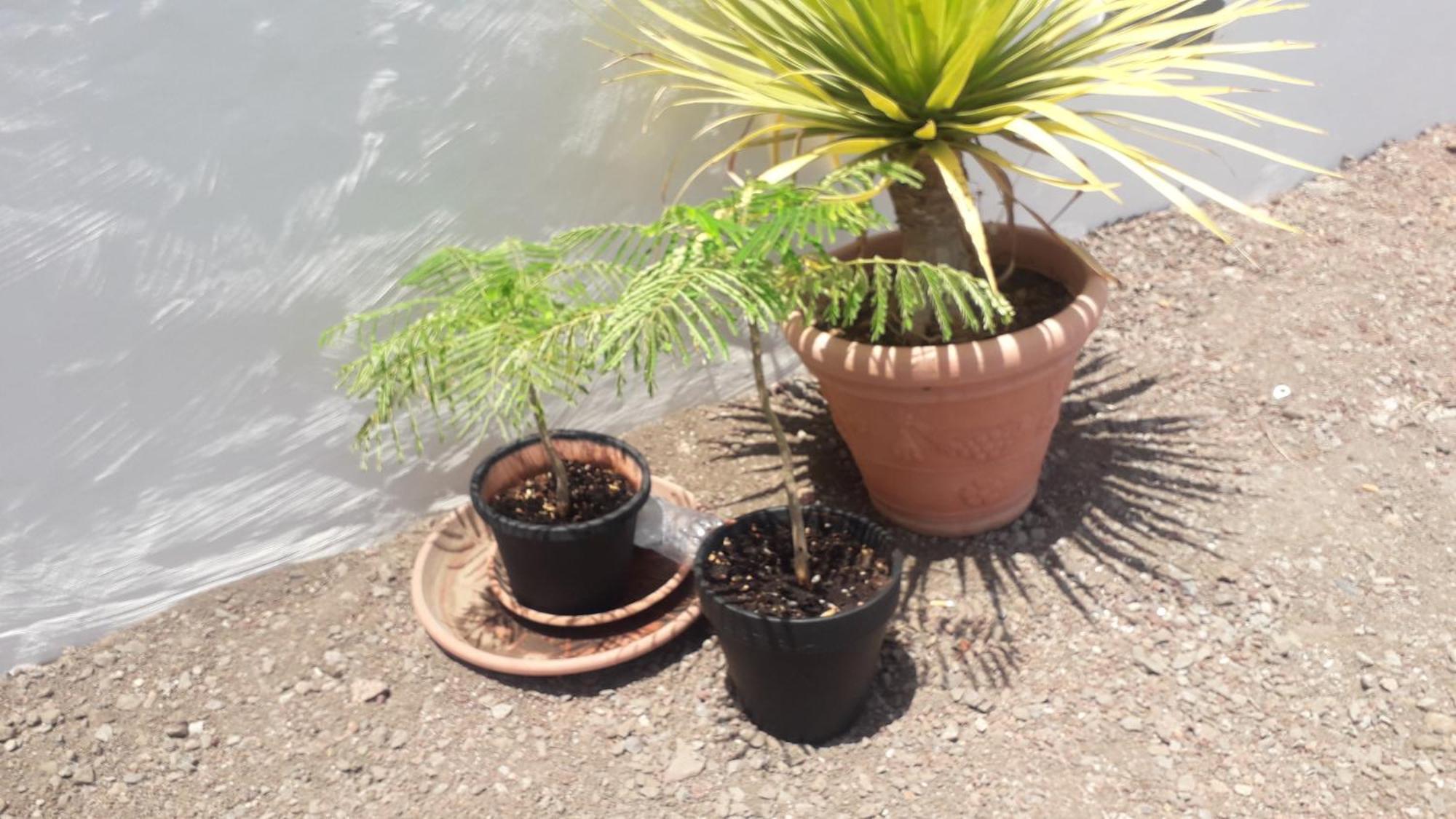 Nueva Piscina Privada Hébergement de vacances *
