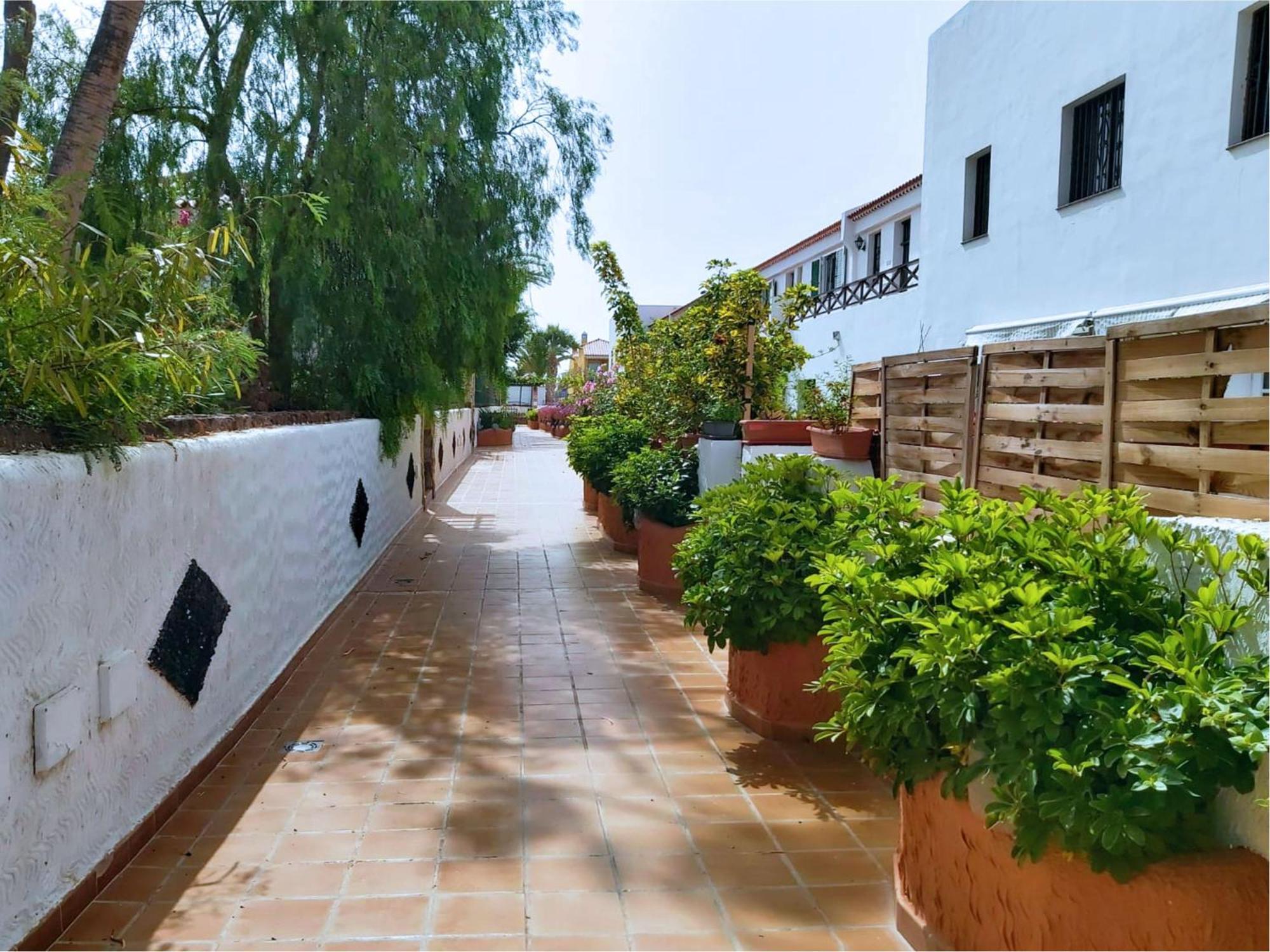 Live Don Jose Two Hundred And Five With Huge Pool And Teracce Arona (Tenerife)
