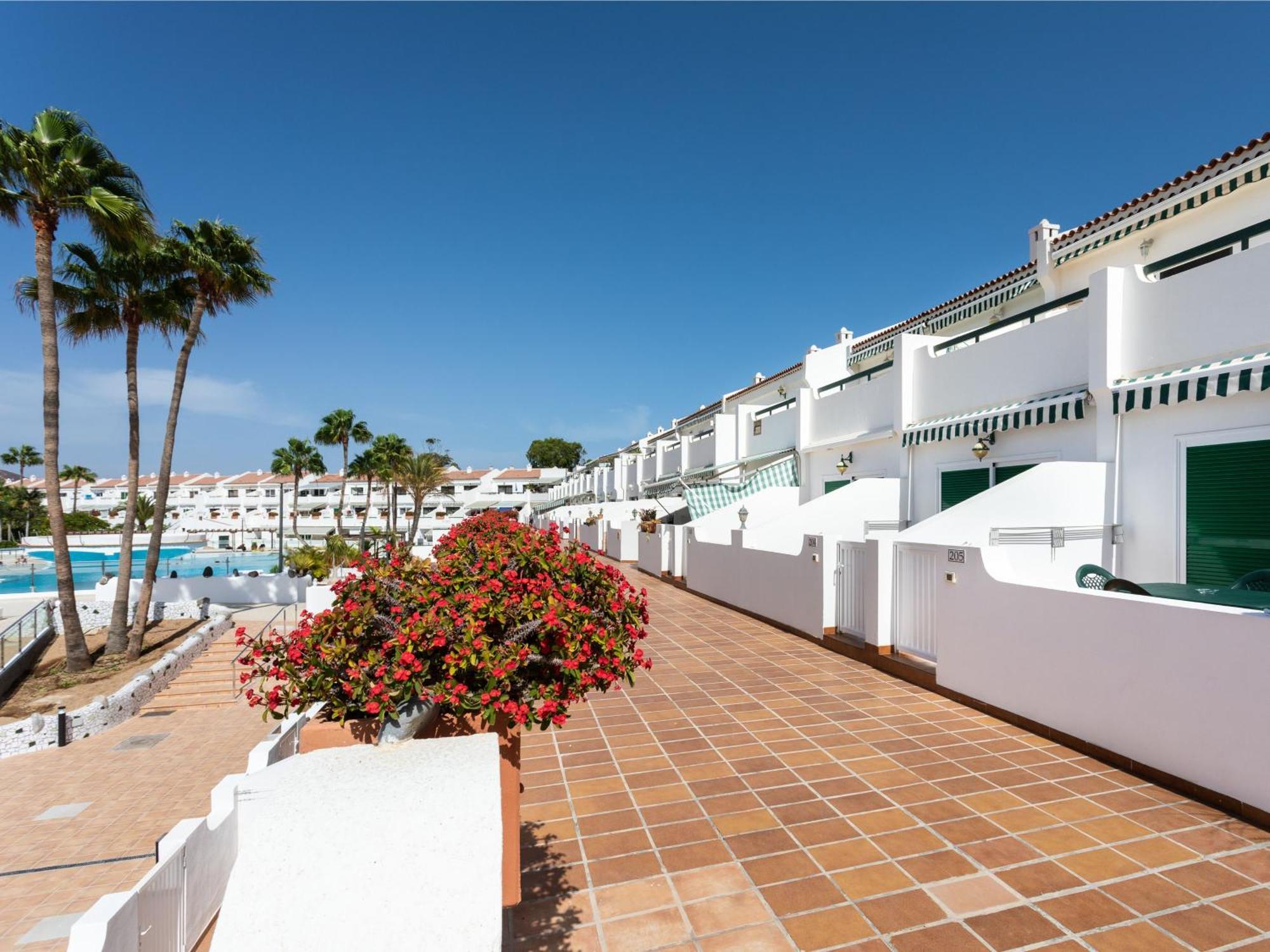 Live Don Jose Two Hundred And Five With Huge Pool And Teracce Appartement *