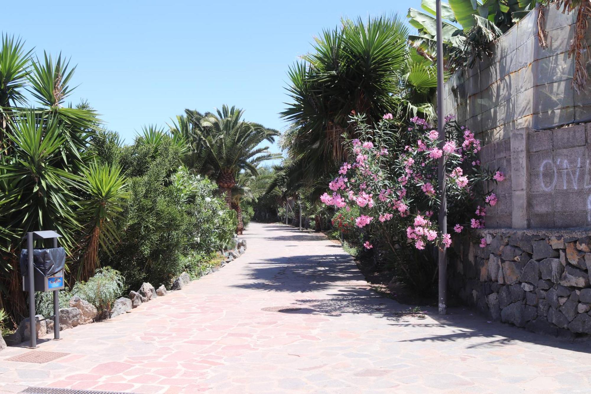 Apartamento Casa Ines La Caleta