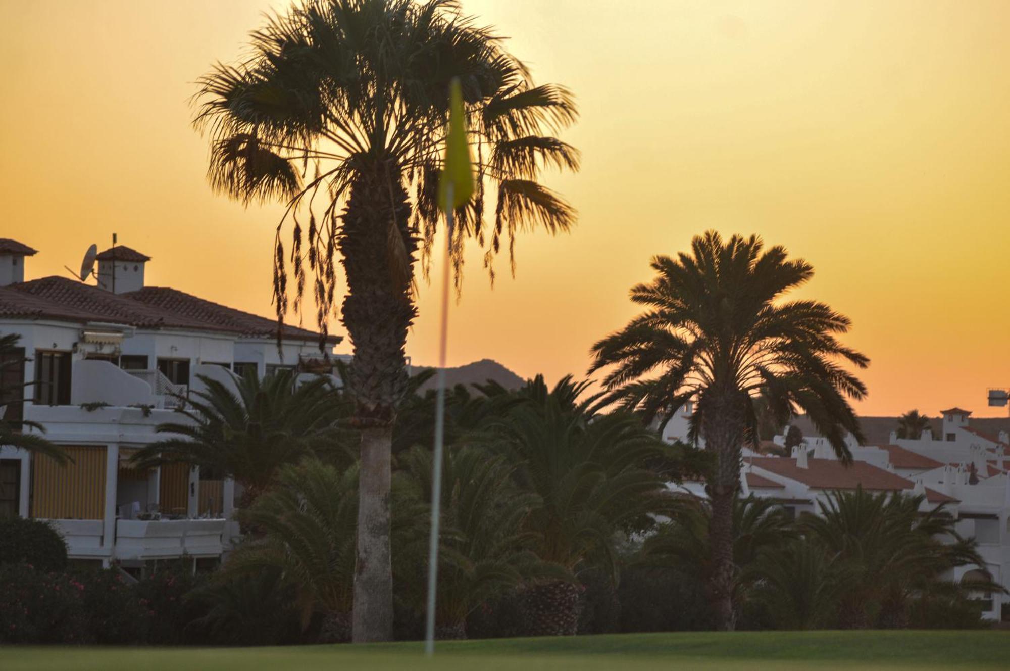 Apartment The Palms Golf Del Sur - Casa Andromeda