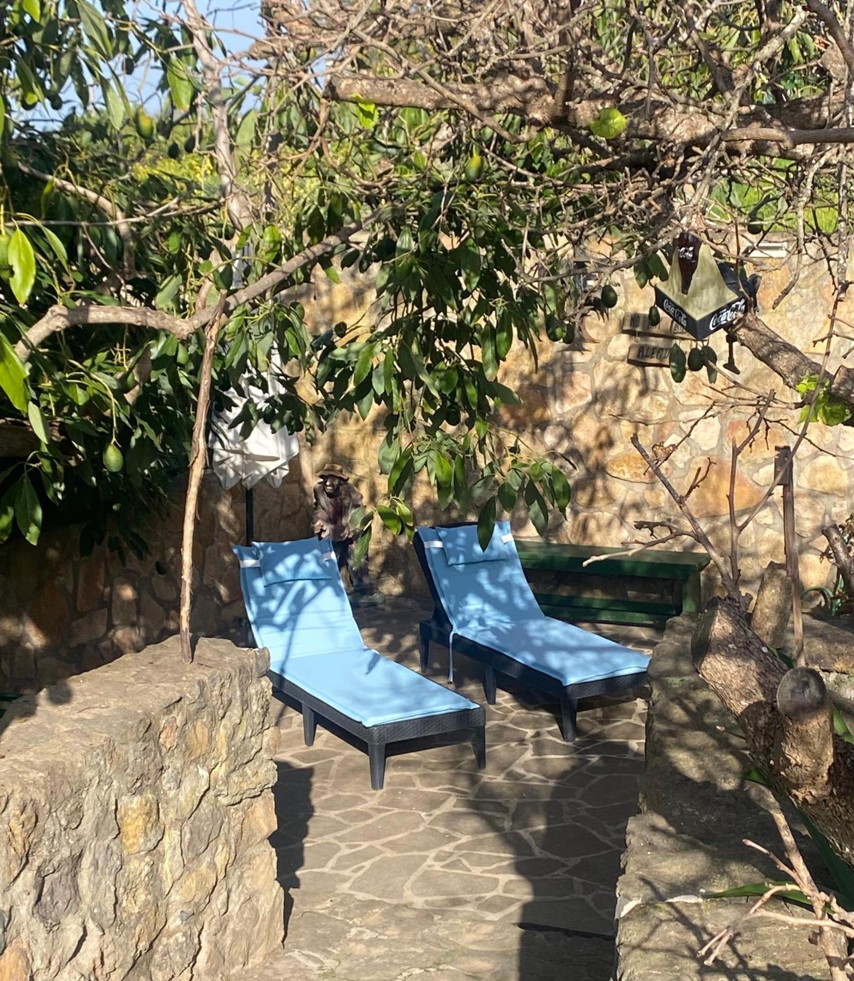 Rural House To Take A Break, La Serreria 25 - Private Garden Hébergement de vacances Tacoronte