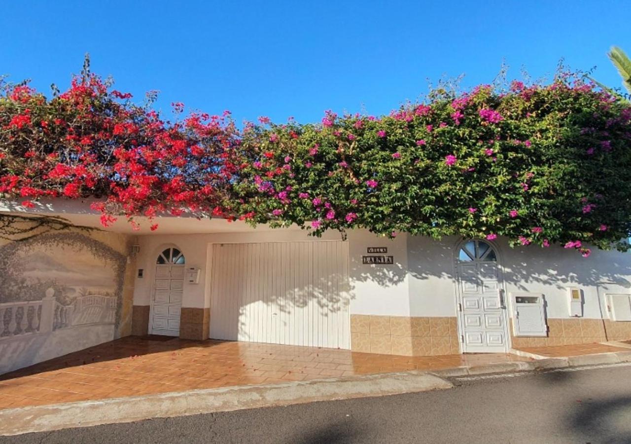 Apartment Larnia De Tenerife *