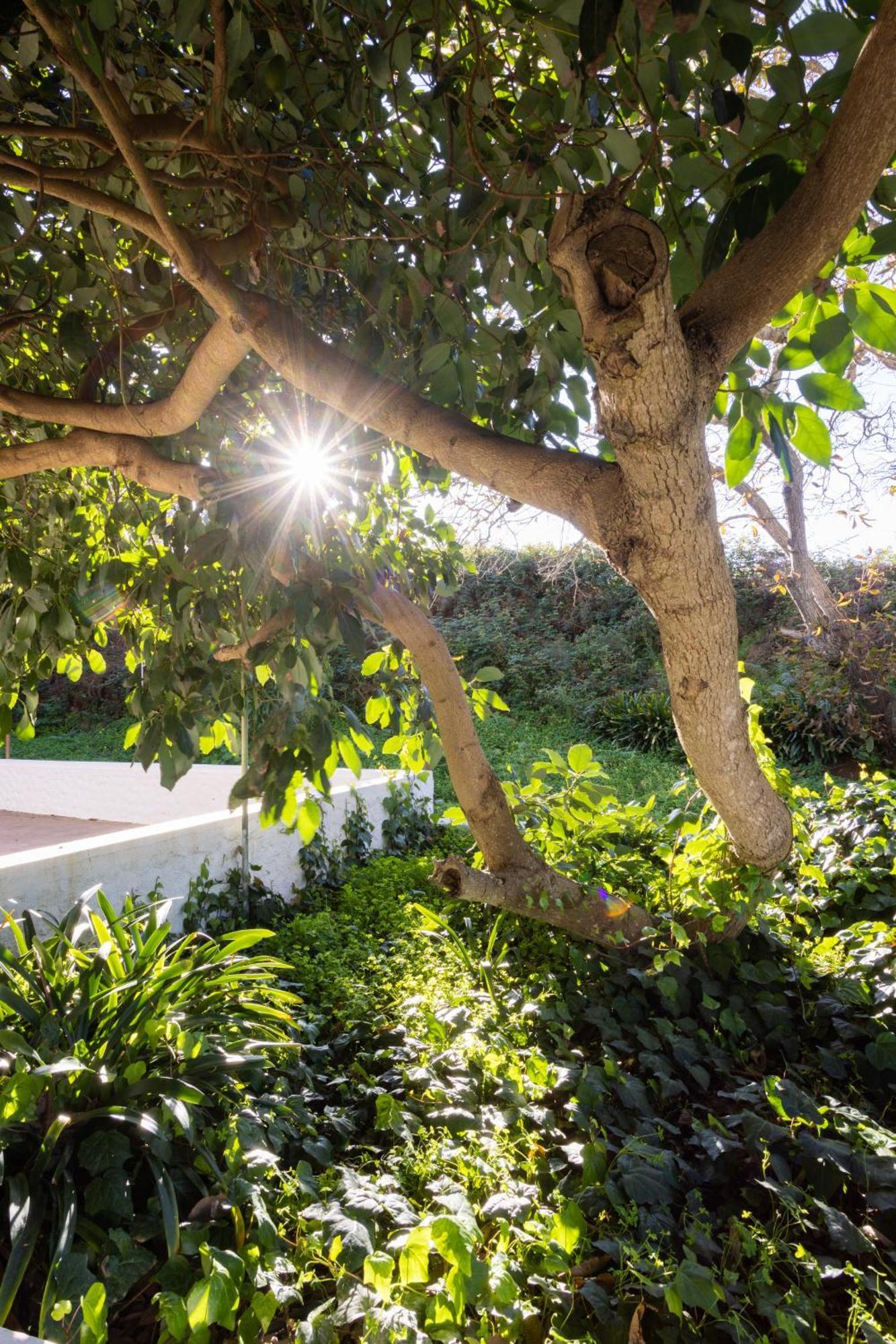 Lightbooking Casa De Campo Ortigal Tenerife Holiday home