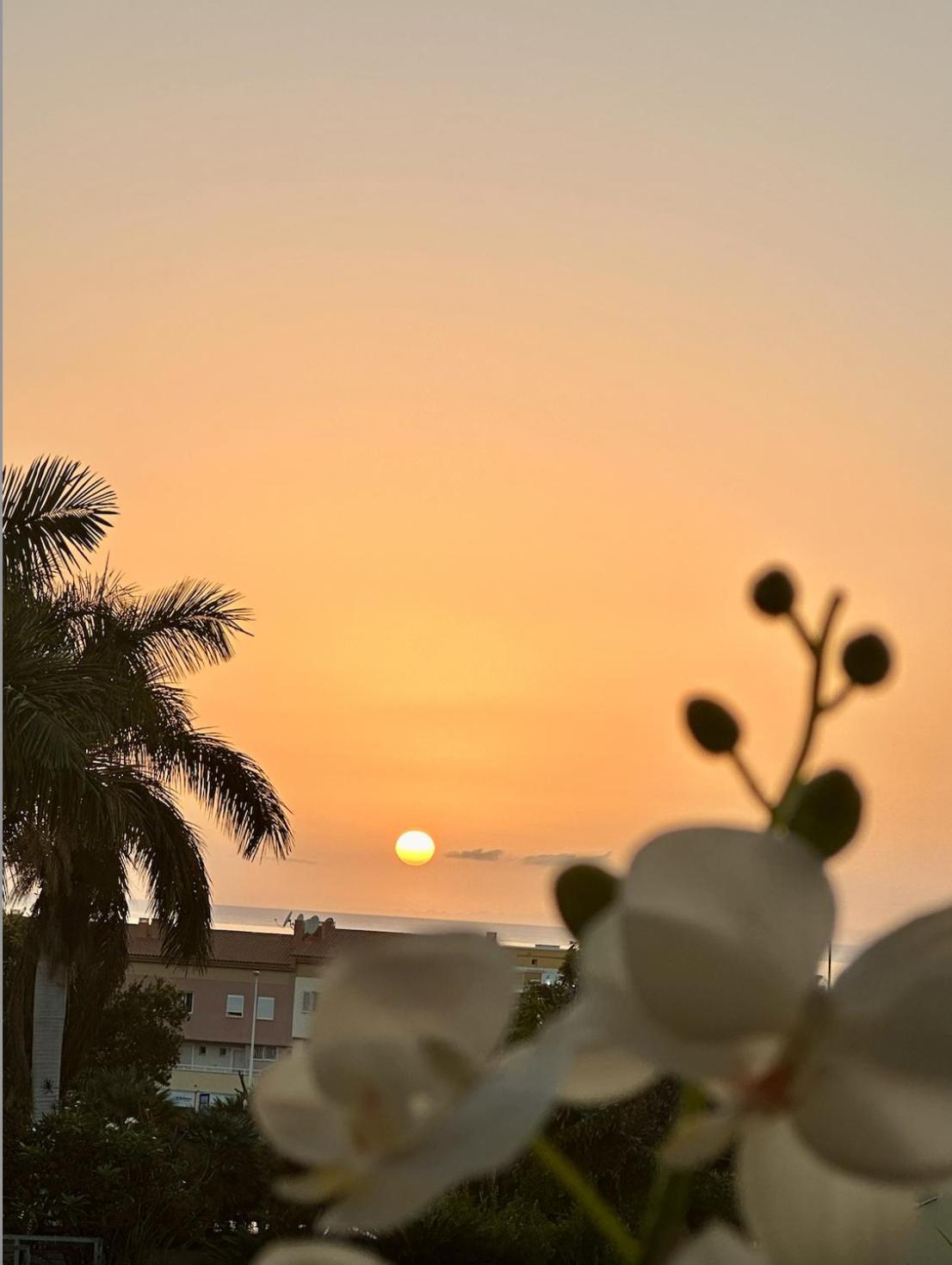Appartement Tenerife Holidays Costa Adeje (Tenerife)