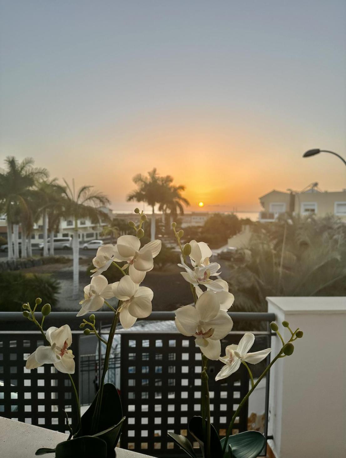 Tenerife Holidays * Costa Adeje (Tenerife)