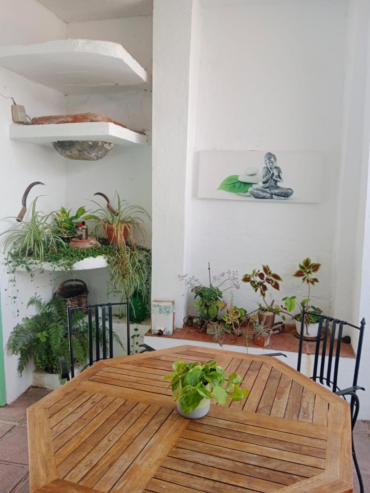 Merche Farm stay Chio (Tenerife)