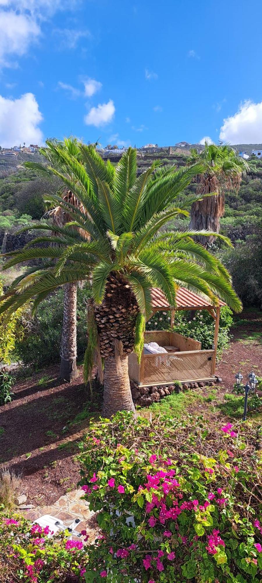 Larnia De Tenerife Apartment Sauzal