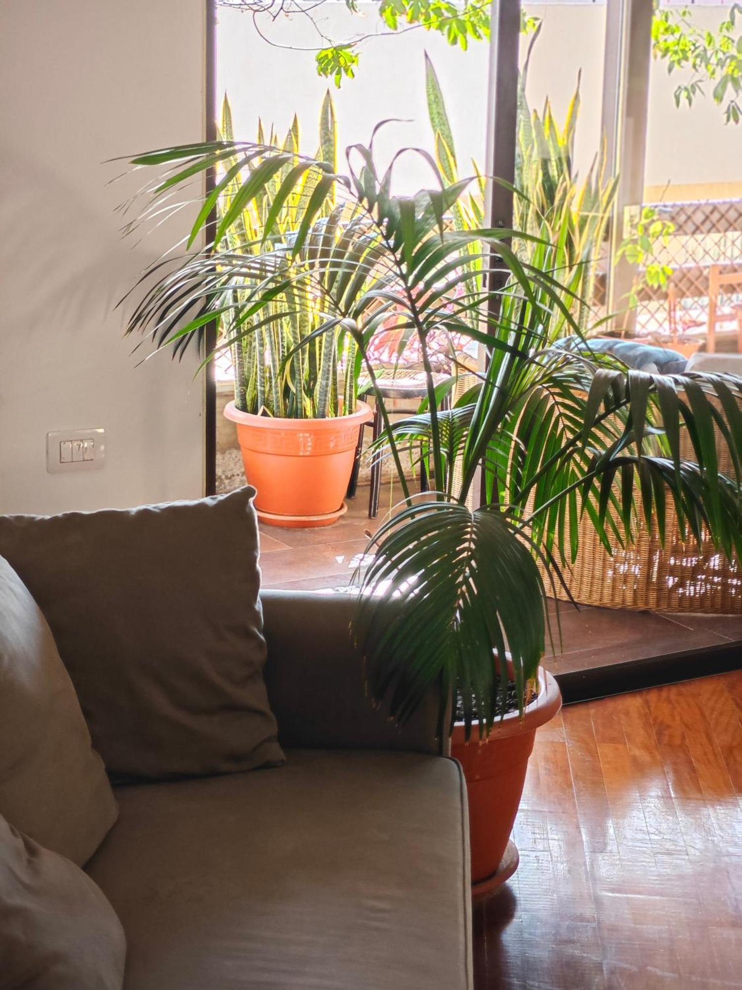 Casa Compartida Weyler Bed & Breakfast *