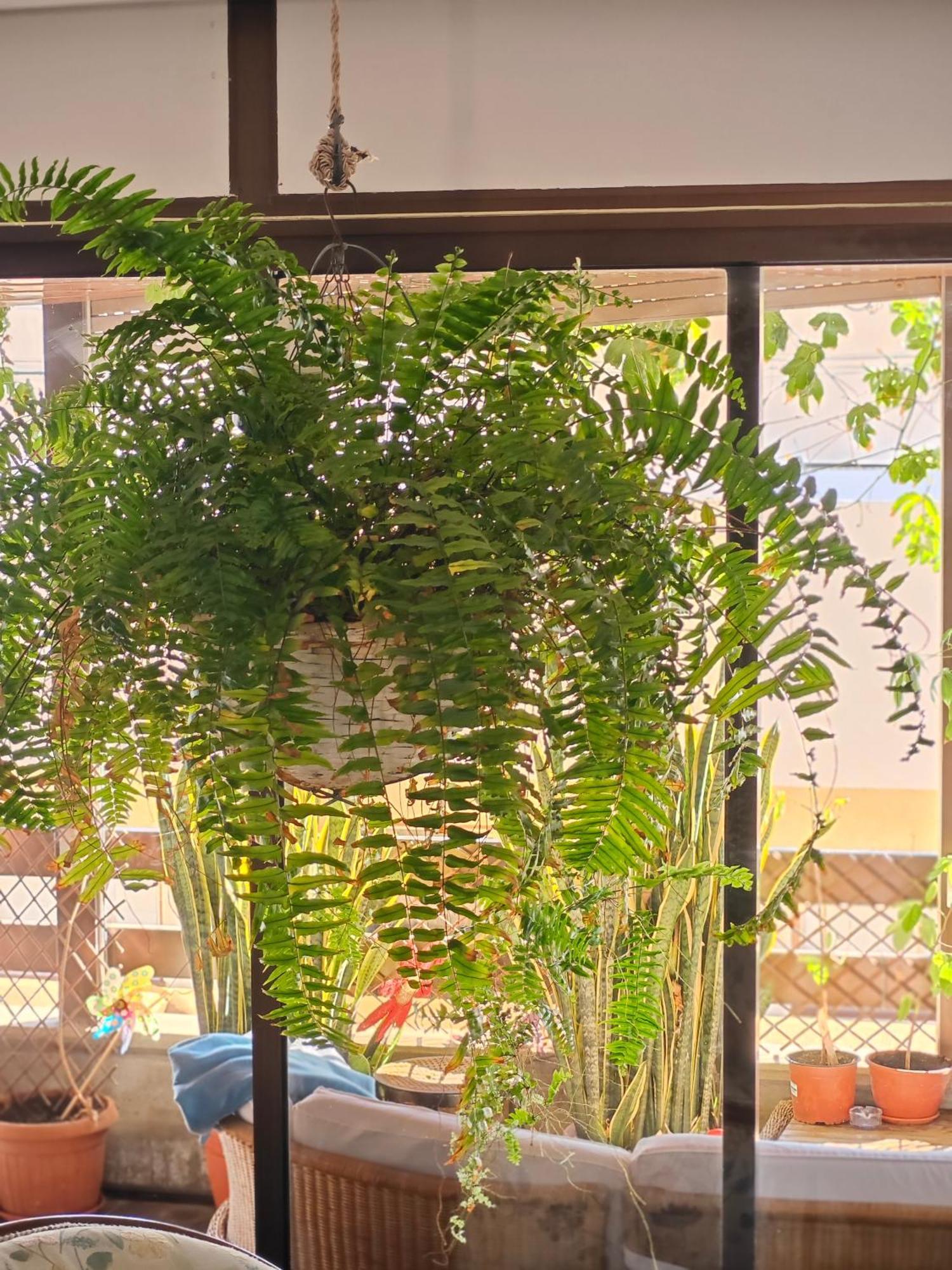Bed & Breakfast Casa Compartida Weyler Santa Cruz de Tenerife