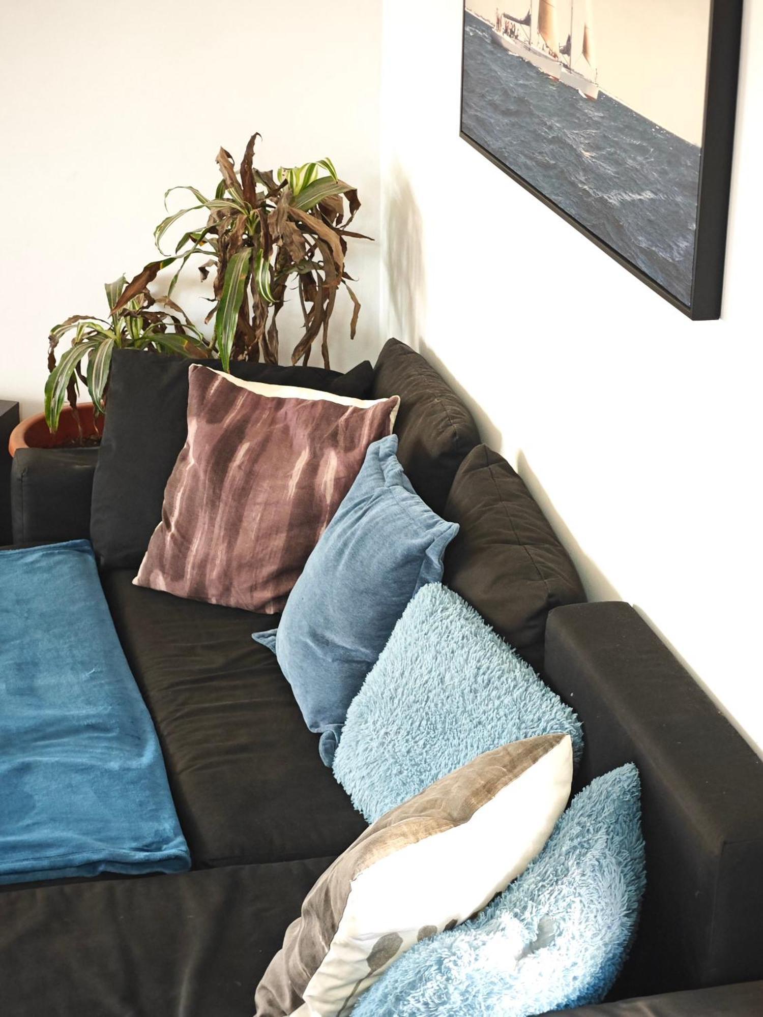 Bed & Breakfast Casa Compartida Weyler Santa Cruz de Tenerife