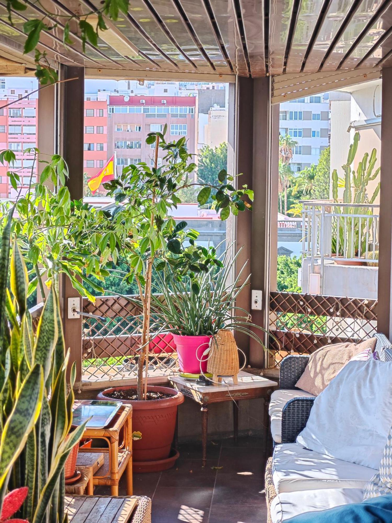 Casa Compartida Weyler Bed & Breakfast Santa Cruz de Tenerife