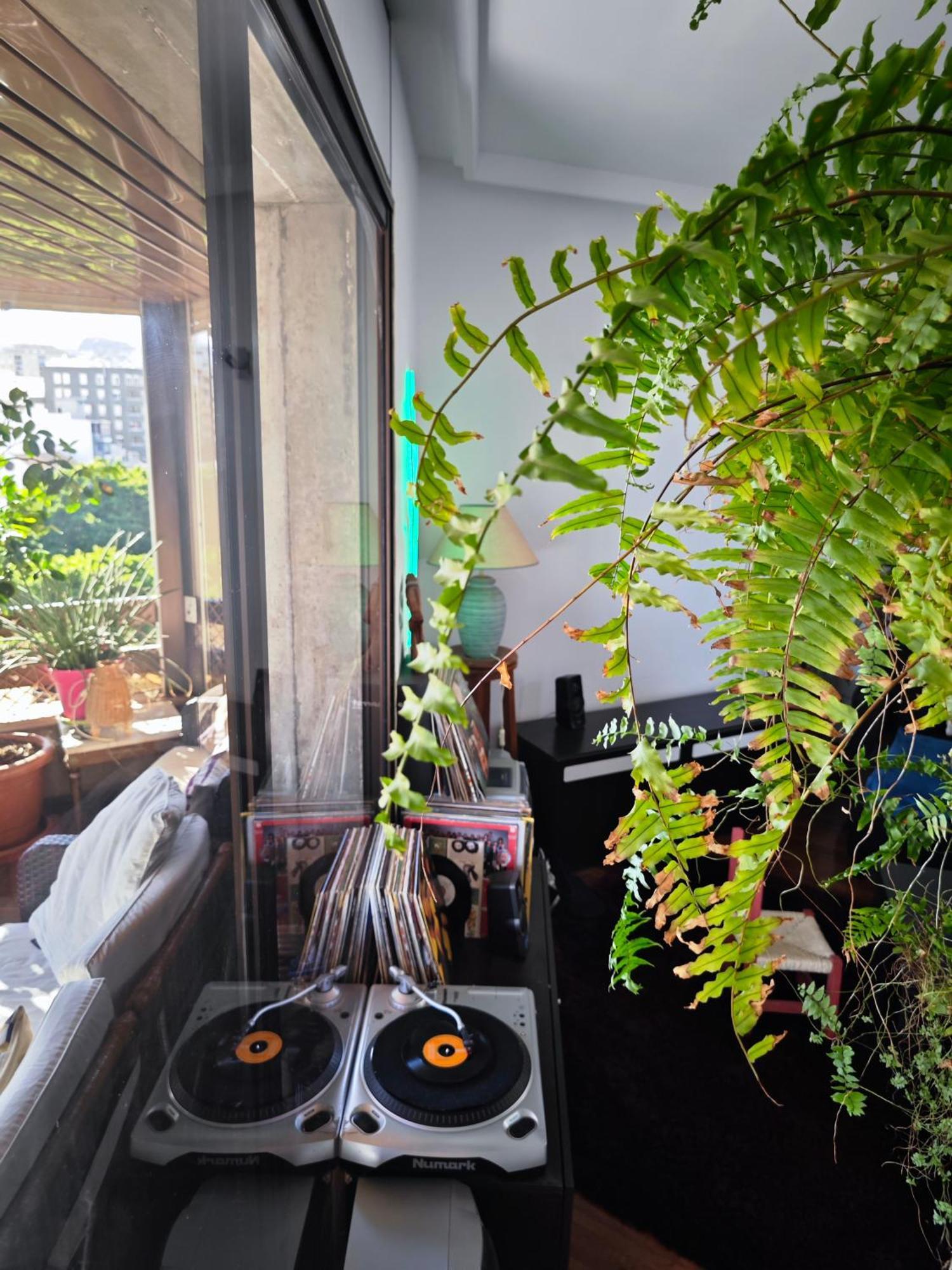 Casa Compartida Weyler Bed & Breakfast Santa Cruz de Tenerife