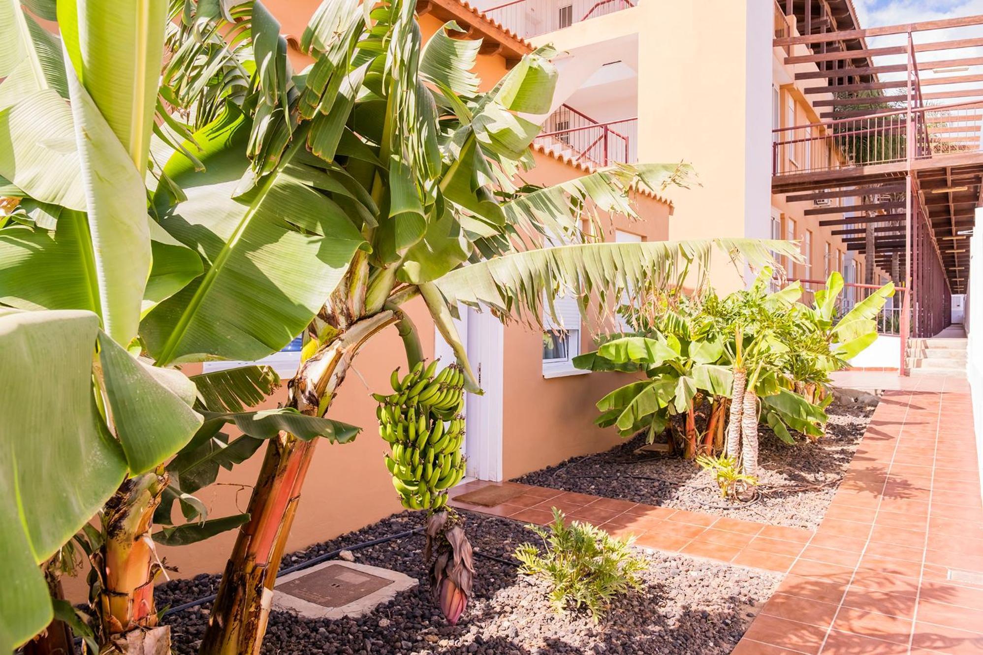 Holiday home La Platanera By Vive La Exclusividad *