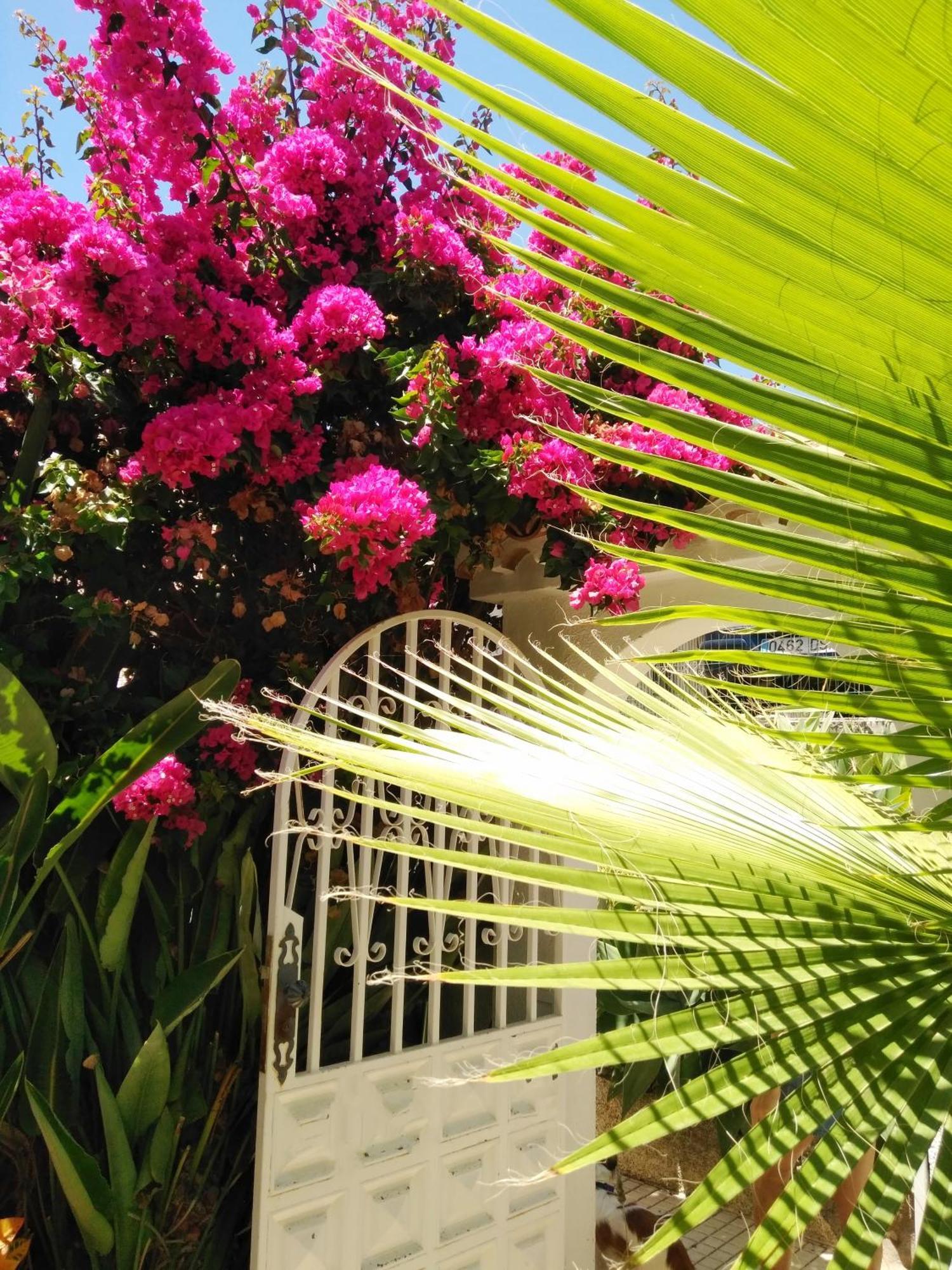 Casa Limona Holiday home *