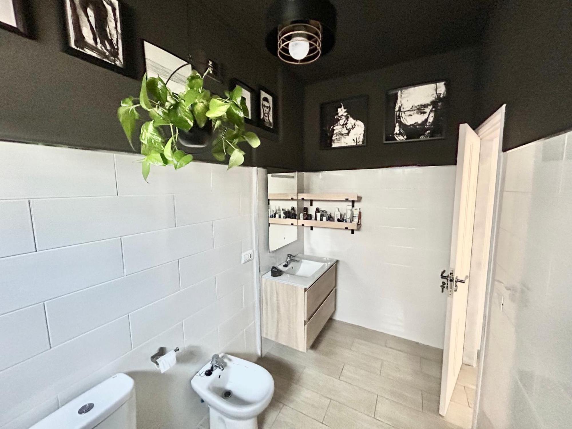 Séjour chez l'habitant Perro Y Osito Garachico (Tenerife)