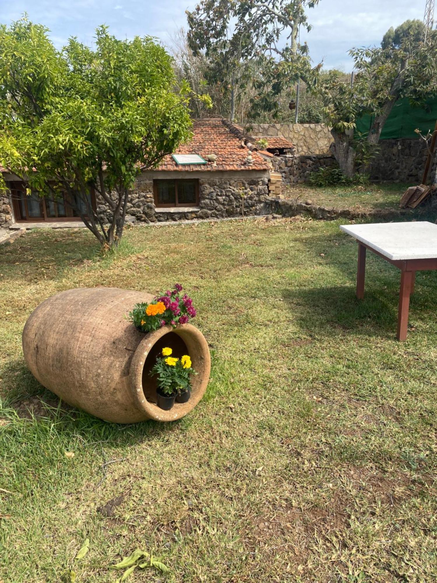 Hébergement de vacances Rural House To Take A Break, La Serreria 25 - Private Garden