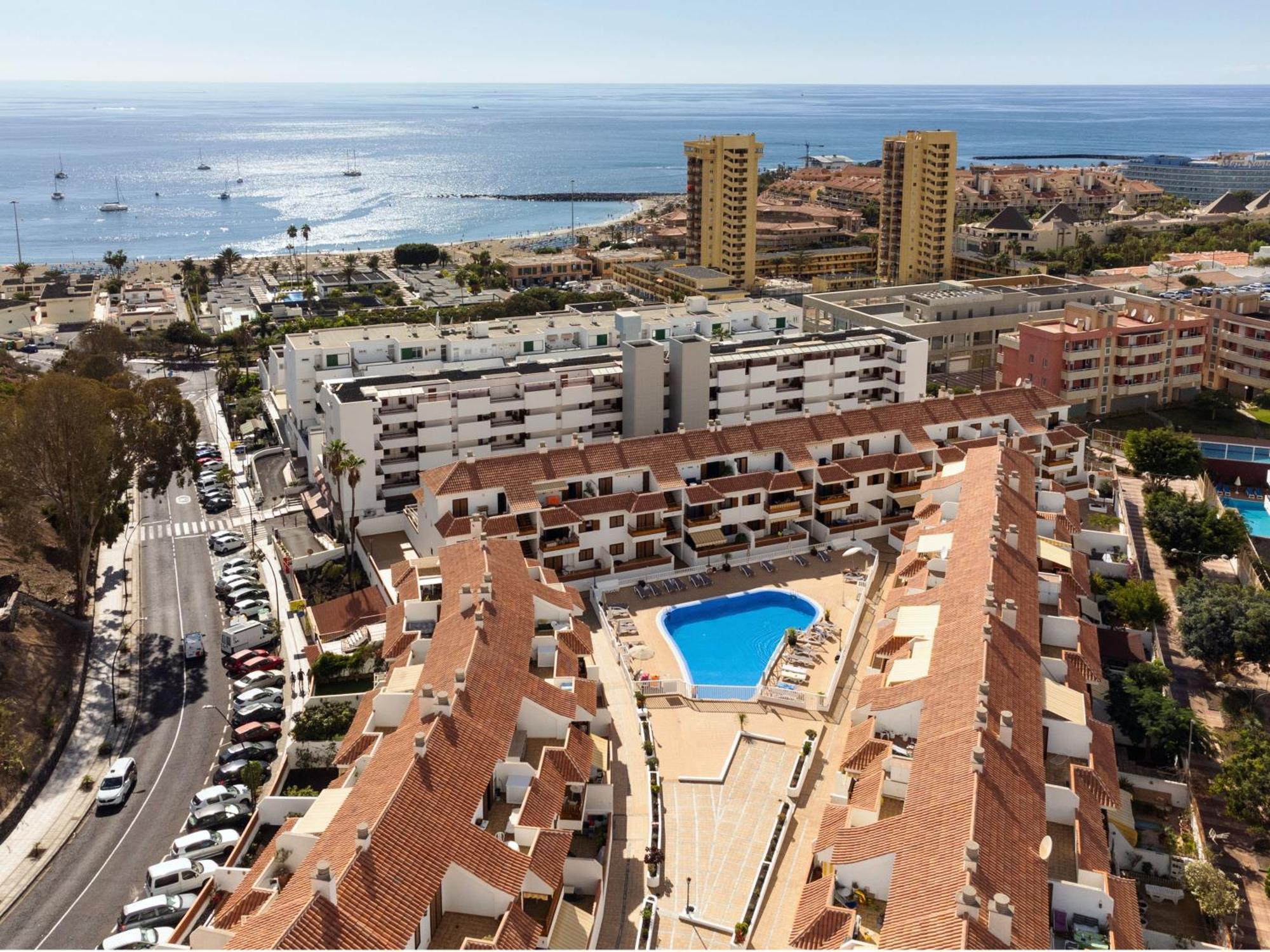 Live Cardon Las Americas Con Piscina Y Terraza