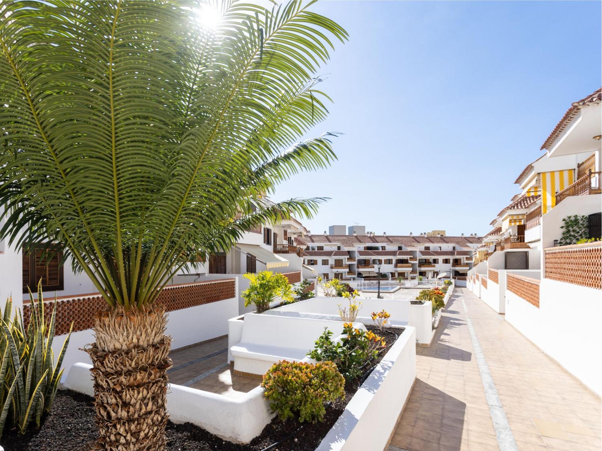 Live Cardon Las Americas Con Piscina Y Terraza Appartement Arona (Tenerife)