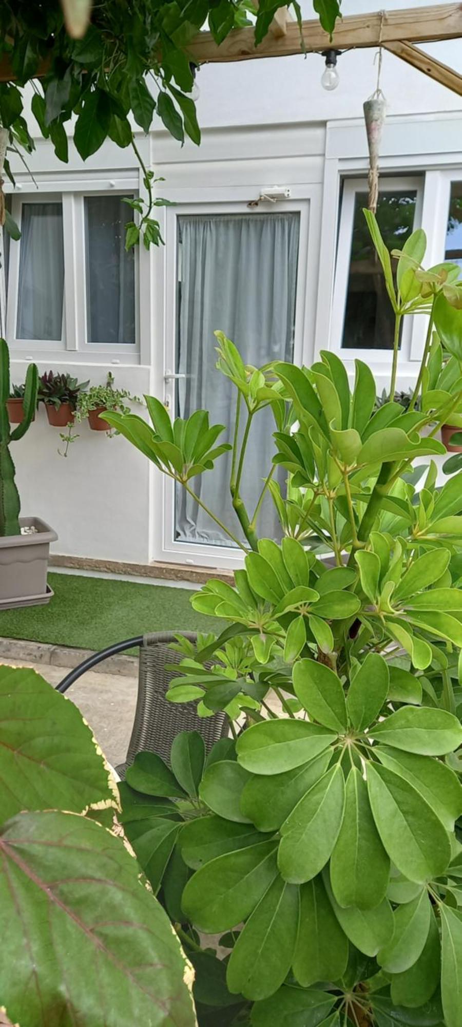 Apartment Welcome Garachico (Tenerife)