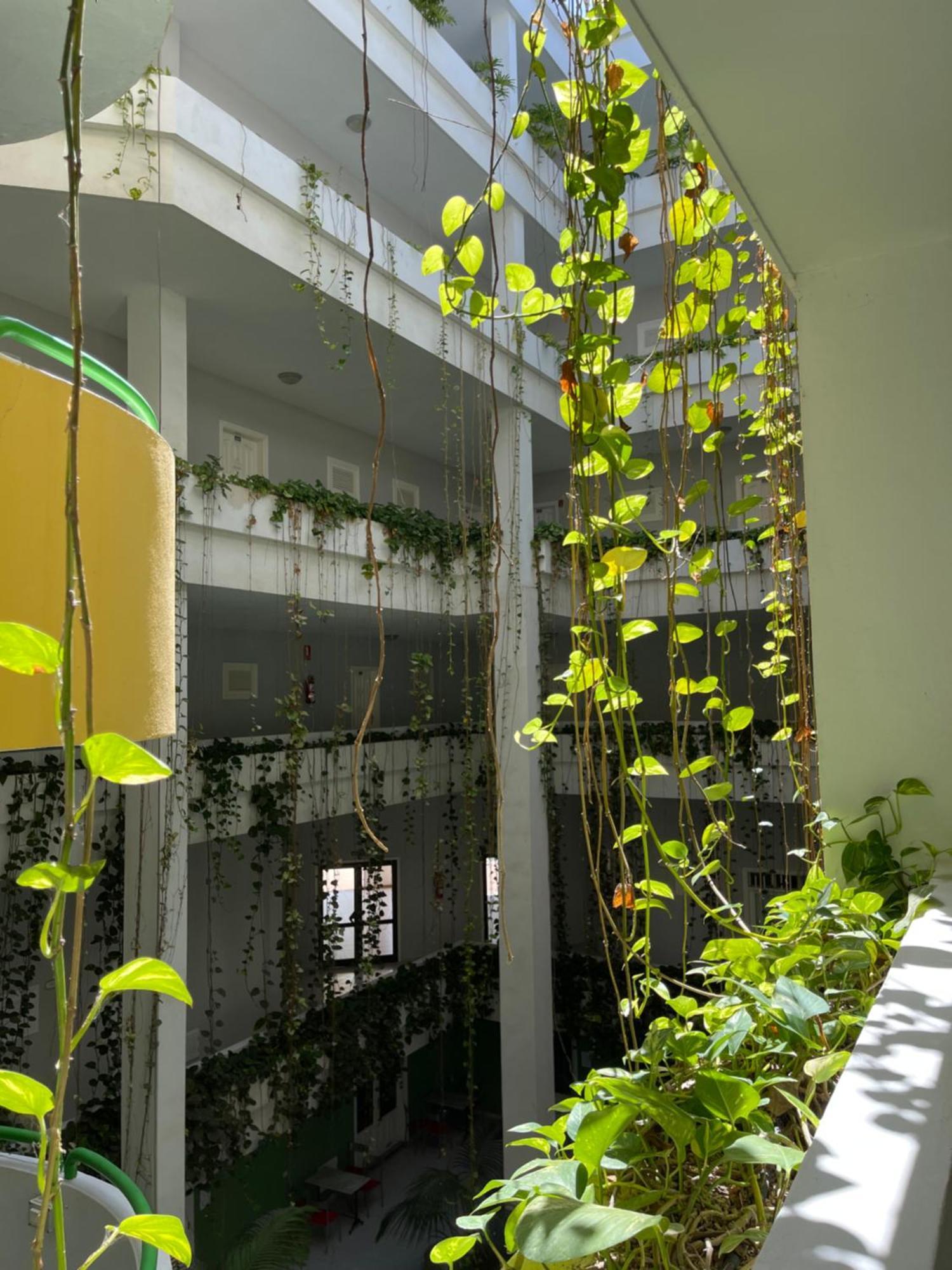 Appartement Bahia I Puerto de la Cruz (Tenerife)