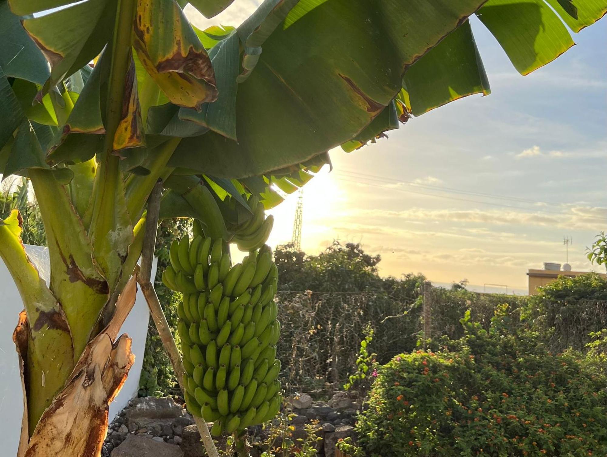 Un Paraiso En Tenerife Сasa de vacaciones