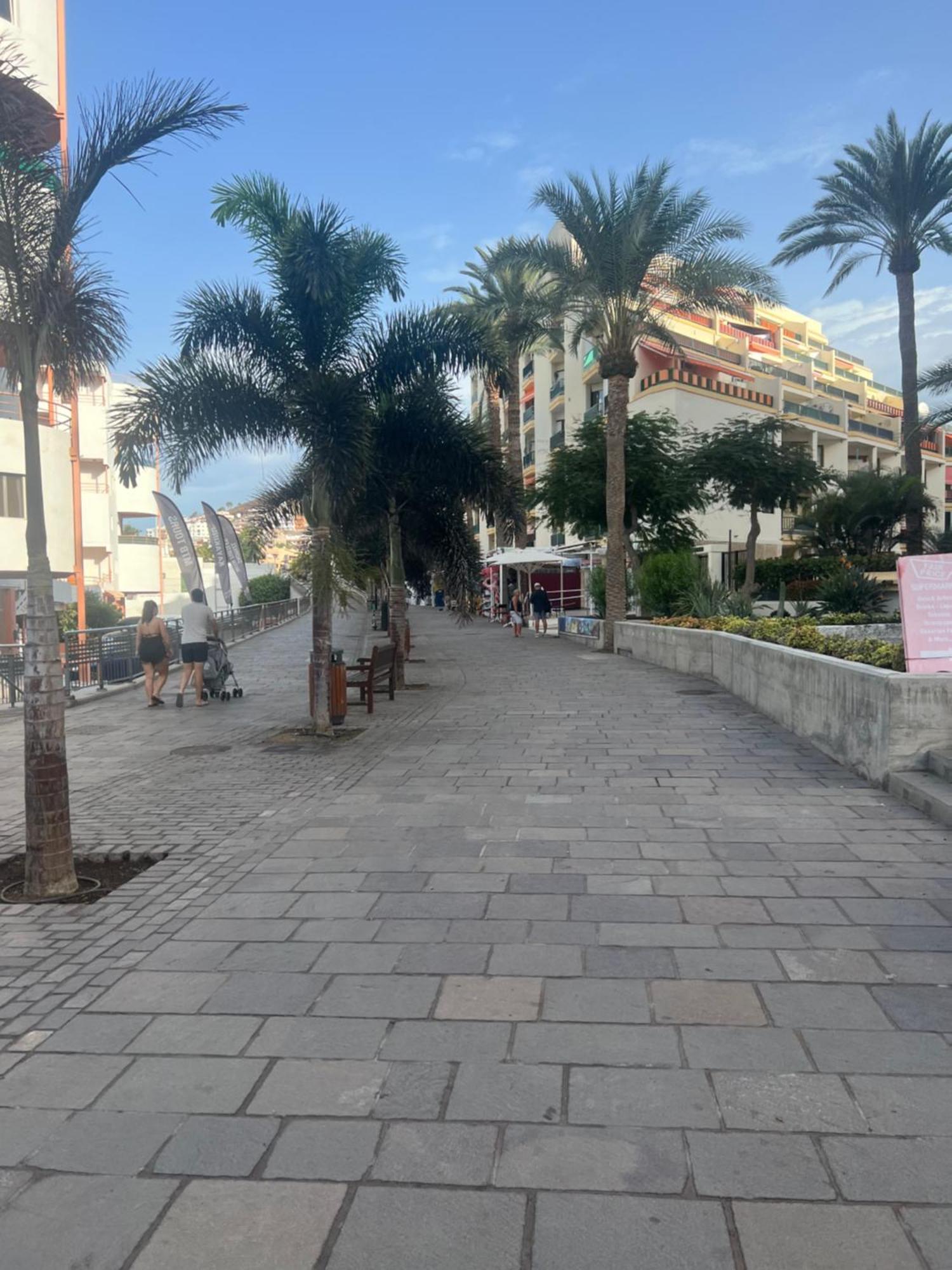 La Chunga Los Cristianos Appartement
