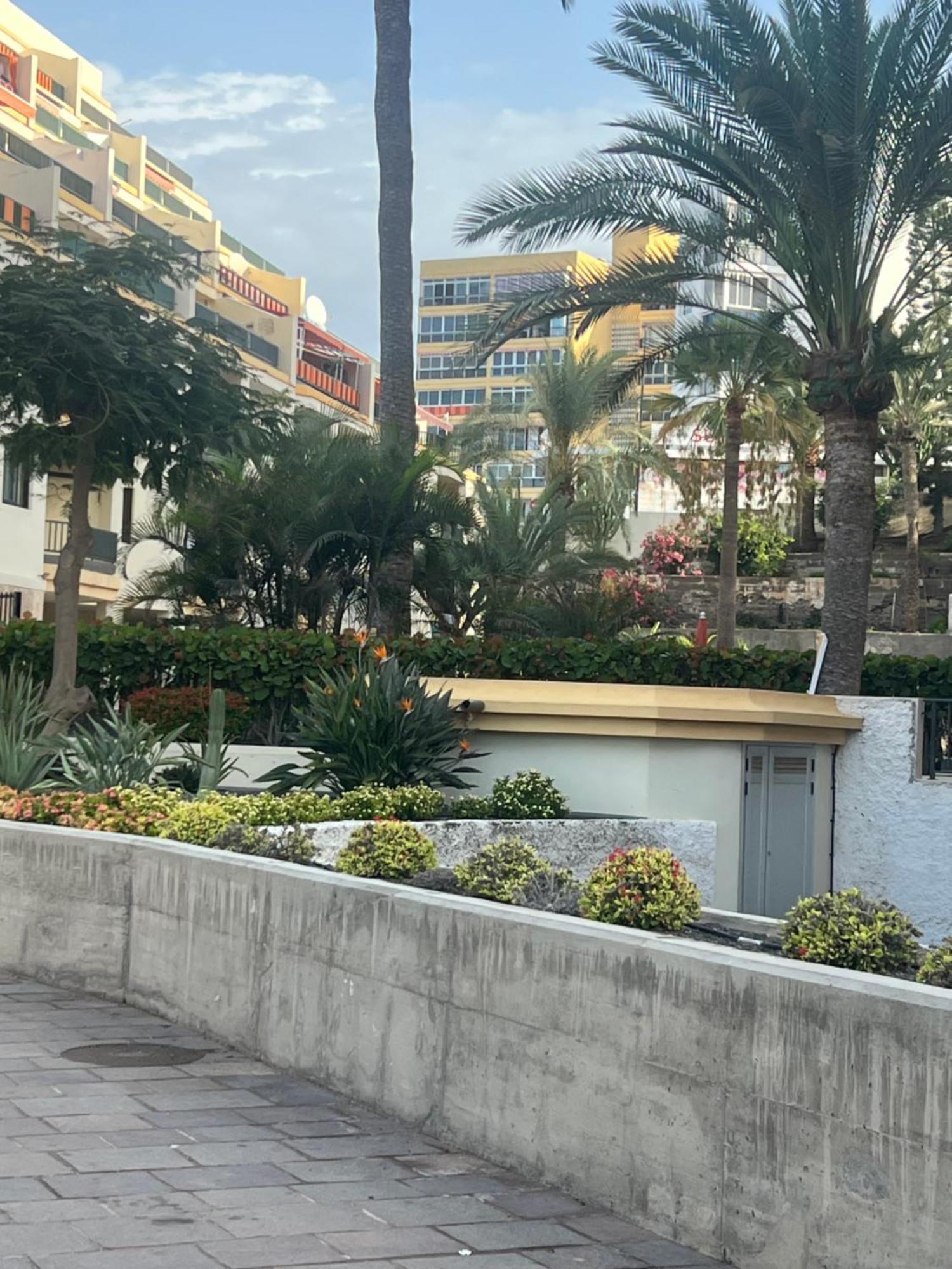La Chunga Los Cristianos Appartement
