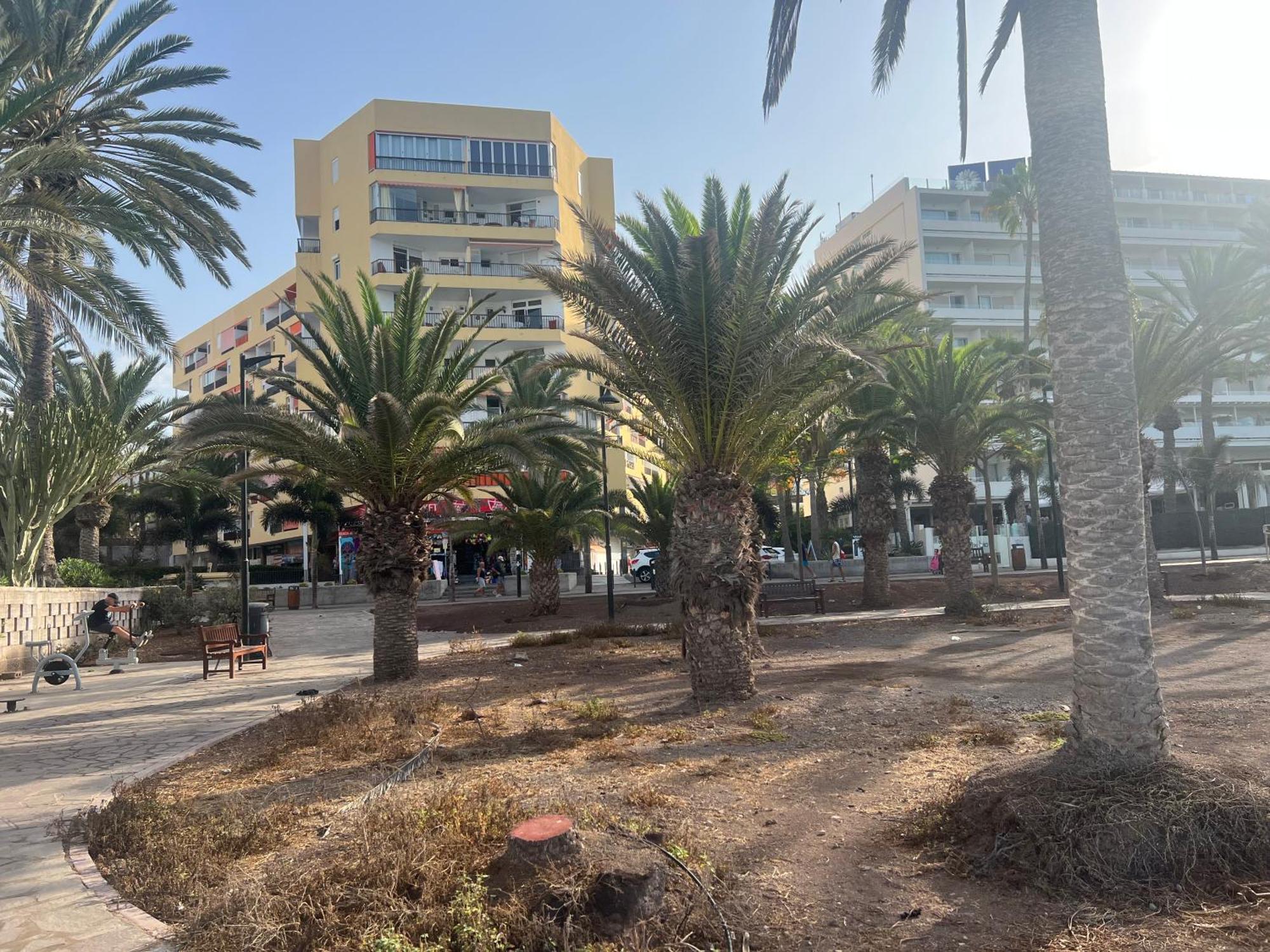 Appartement La Chunga Los Cristianos *