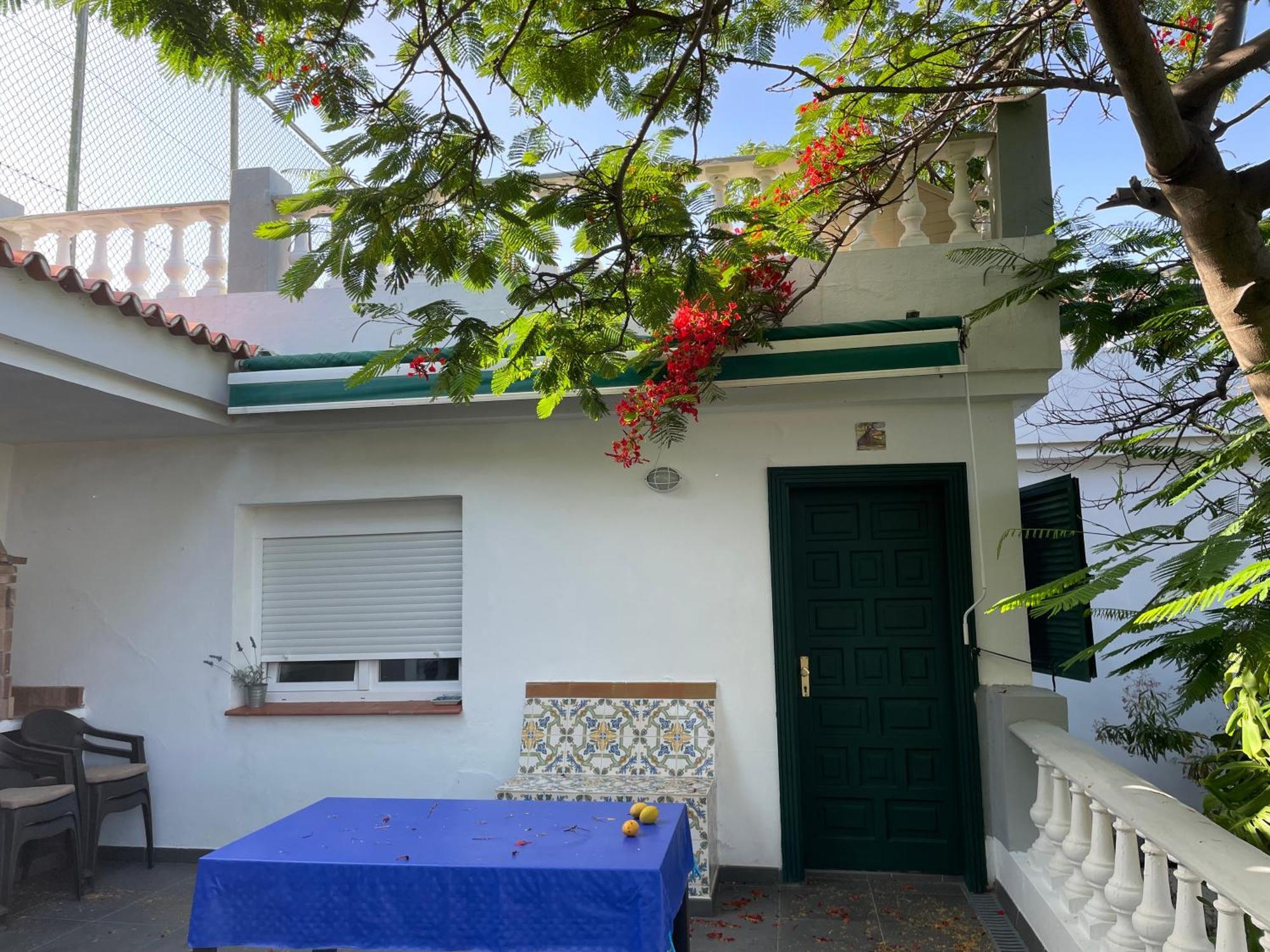En Santa Cruz *