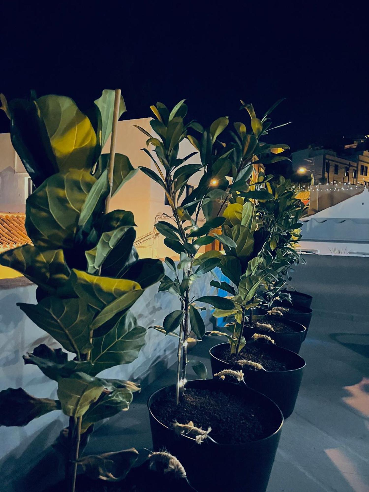 Apartamento Plaza De La Fuente Tenerife Sur Only Adults Con Terraza Privada Granadilla De Abona