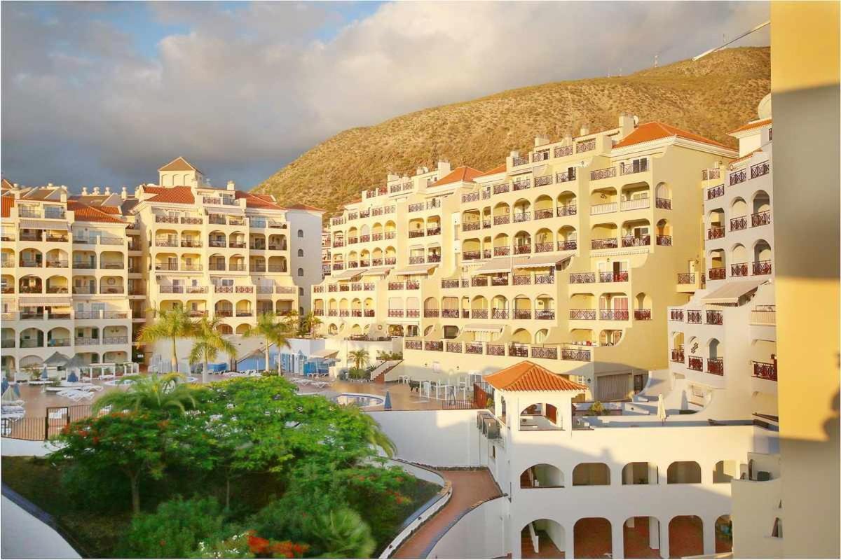 Dinastia D201 By Tenerife & Sales Los Cristianos (Tenerife)