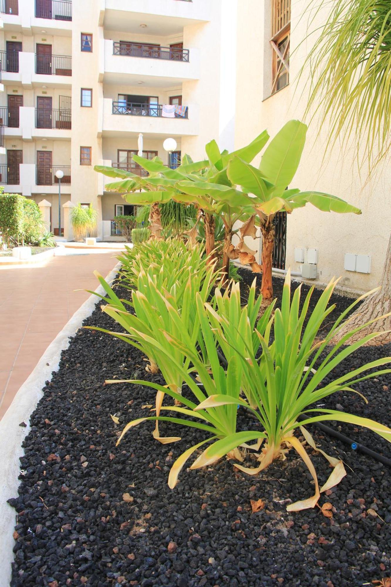 Americas - 2 Bedrooms - Flayla-a