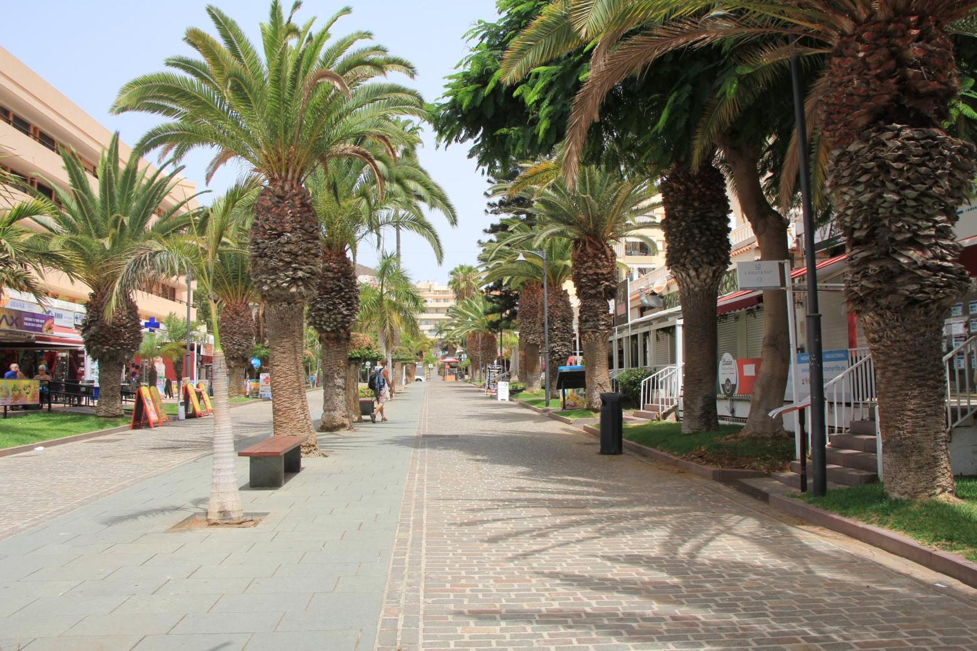 Cristianos - 2 Bedrooms - Flayla-c * Los Cristianos (Tenerife)
