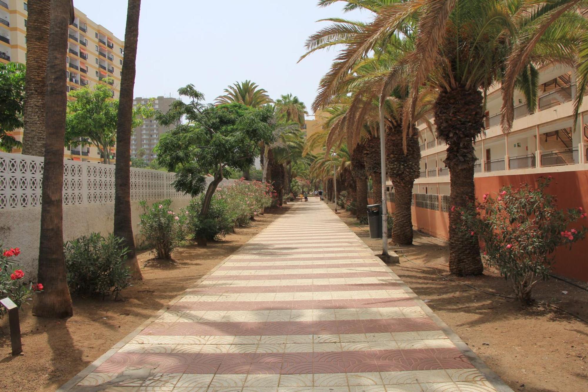 Cristianos - 2 Bedrooms - Flayla-c