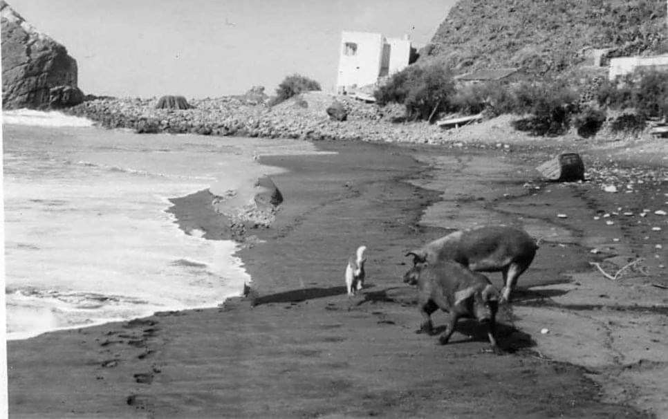 Apartment Ocean Front La Maresia Holiday 2 Taganana