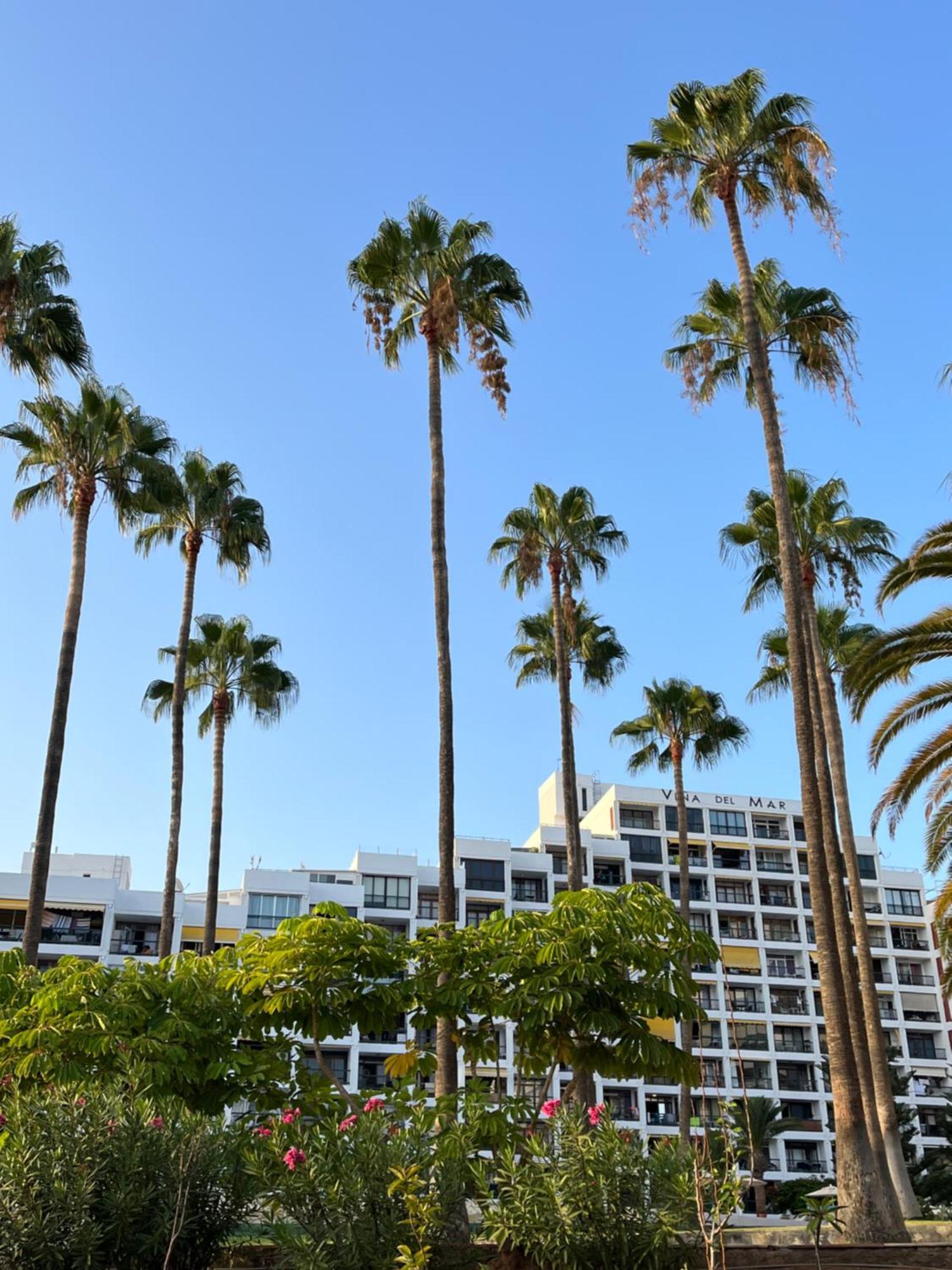Apartment Vina Del Mar