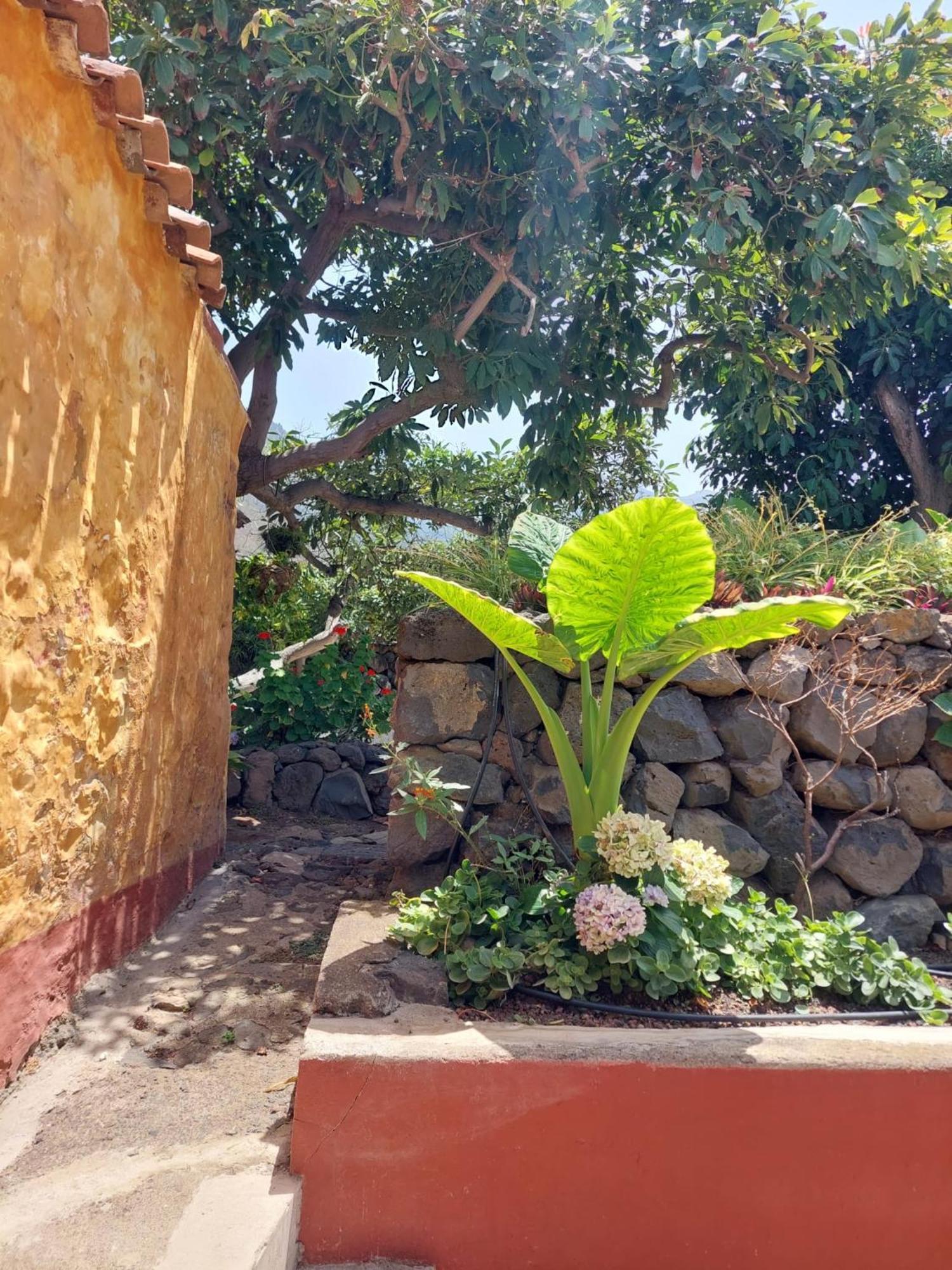 La Plantacion _agroturismo * La Orotava