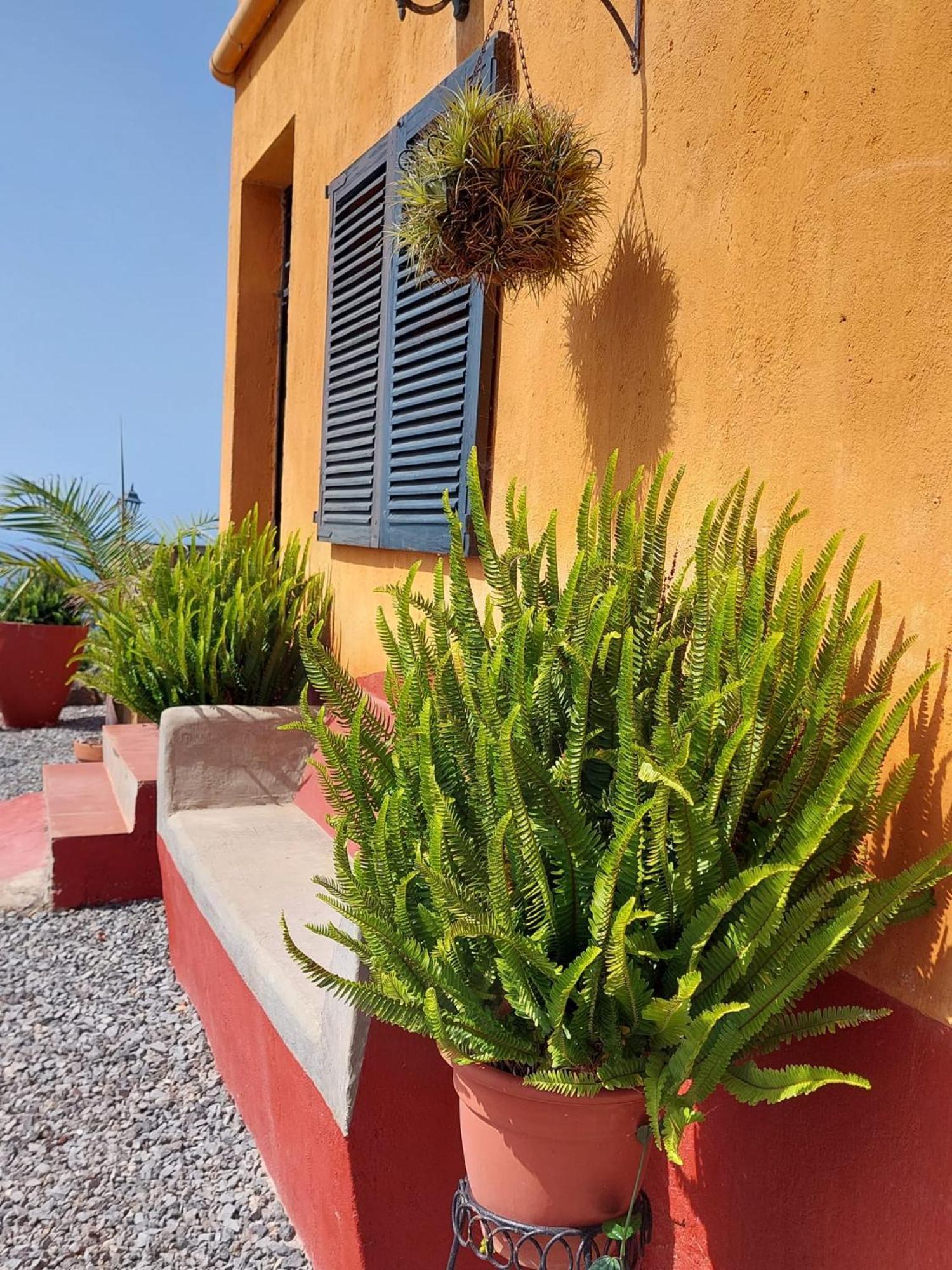La Plantacion _agroturismo Holiday home