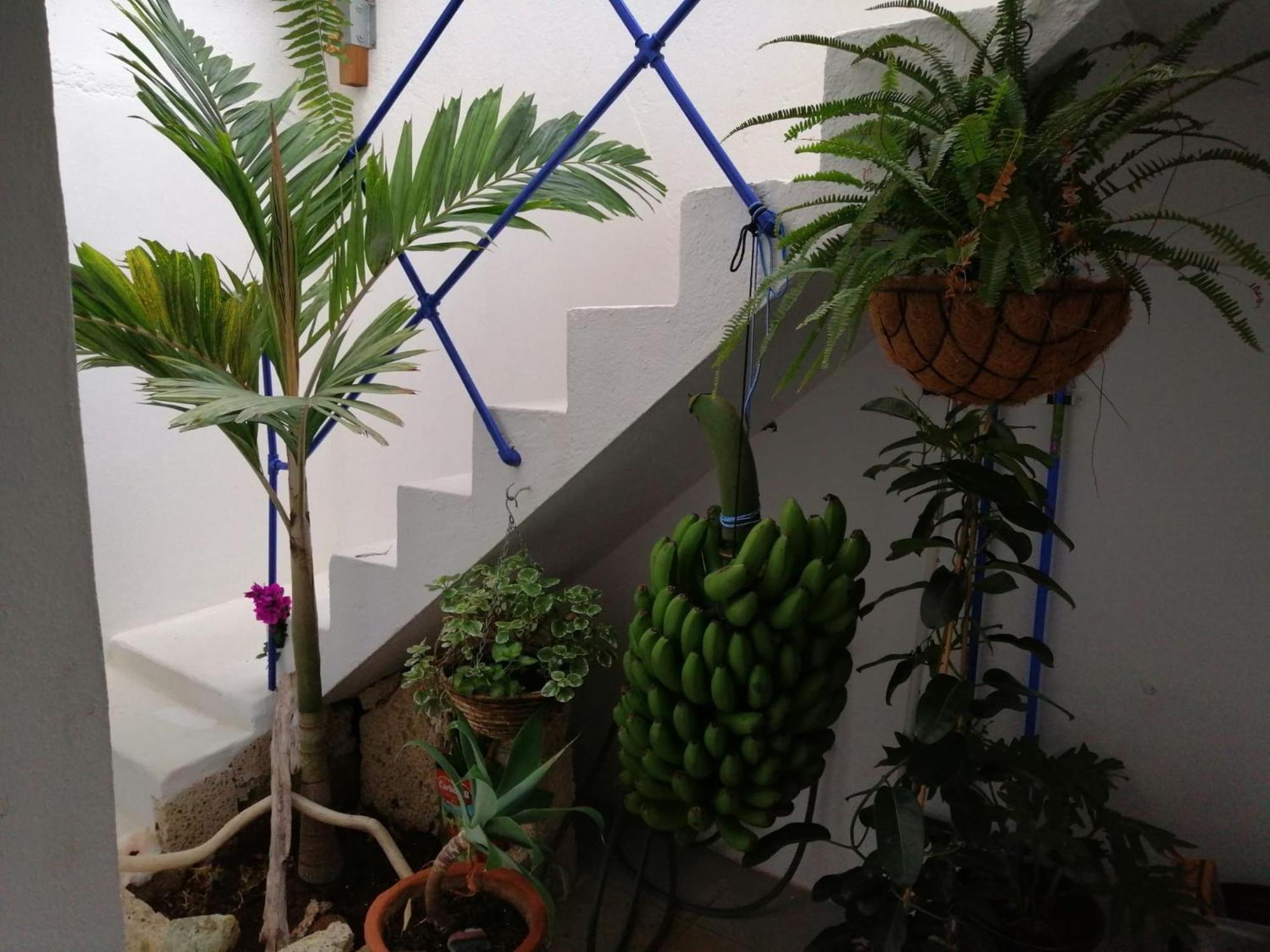 La Haciendita De La Casita Azul Apartamento *