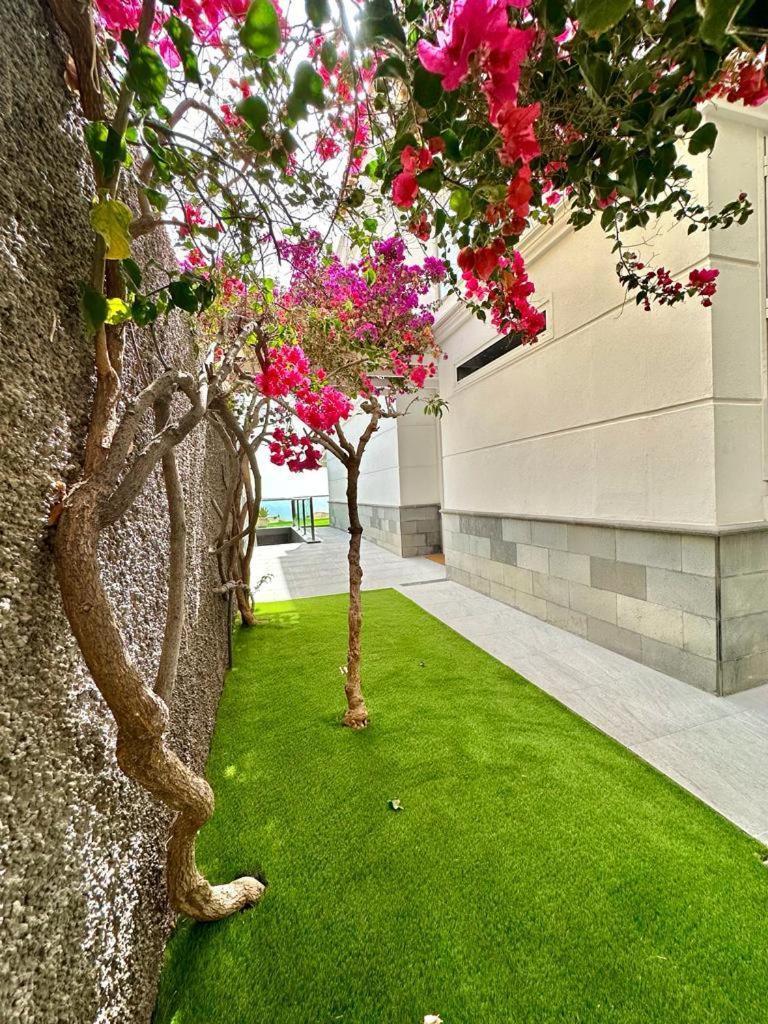 Villa Privada Con Piscina Tenerife Sur Aljaba 5