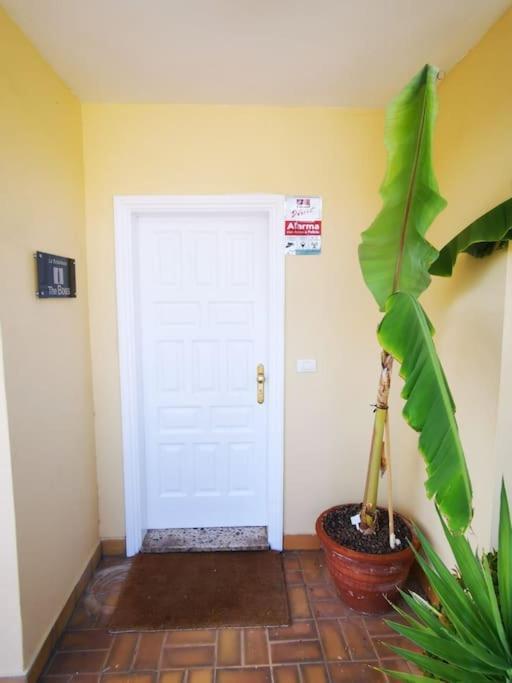Amplia Casa 5 En Cruz Con Zona Trabajar Holiday home Santa Cruz de Tenerife
