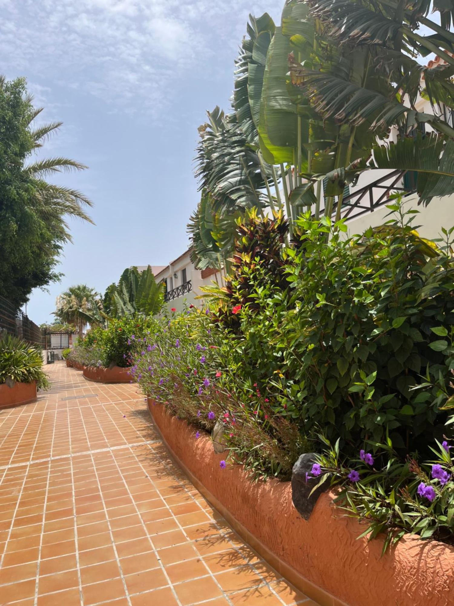 Casa Parque Don Jose 2 Apartment *