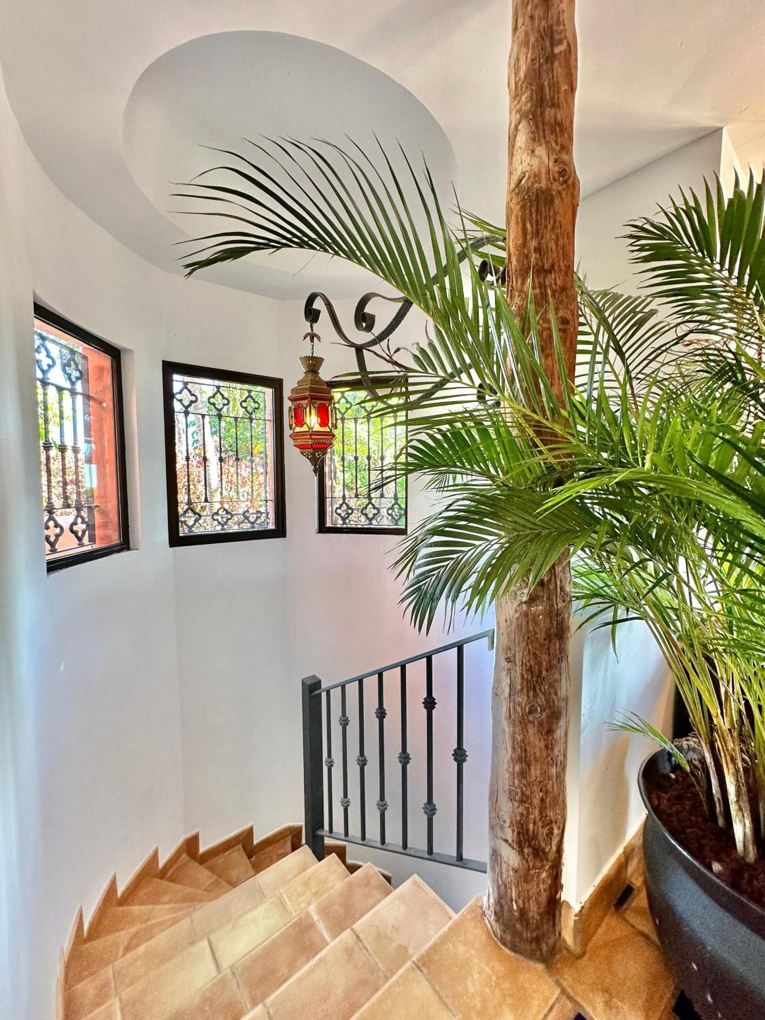 Villa Tropical Garden